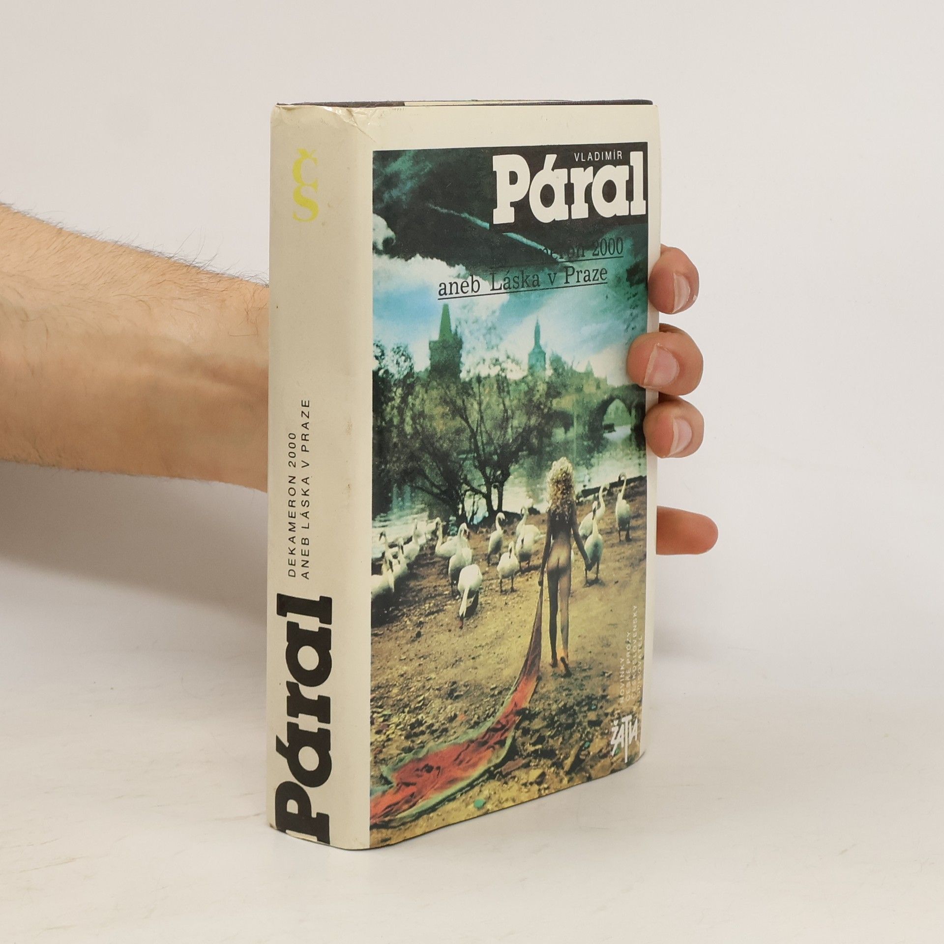 Vladimír Páral Dekameron 2000 aneb Láska v Praze