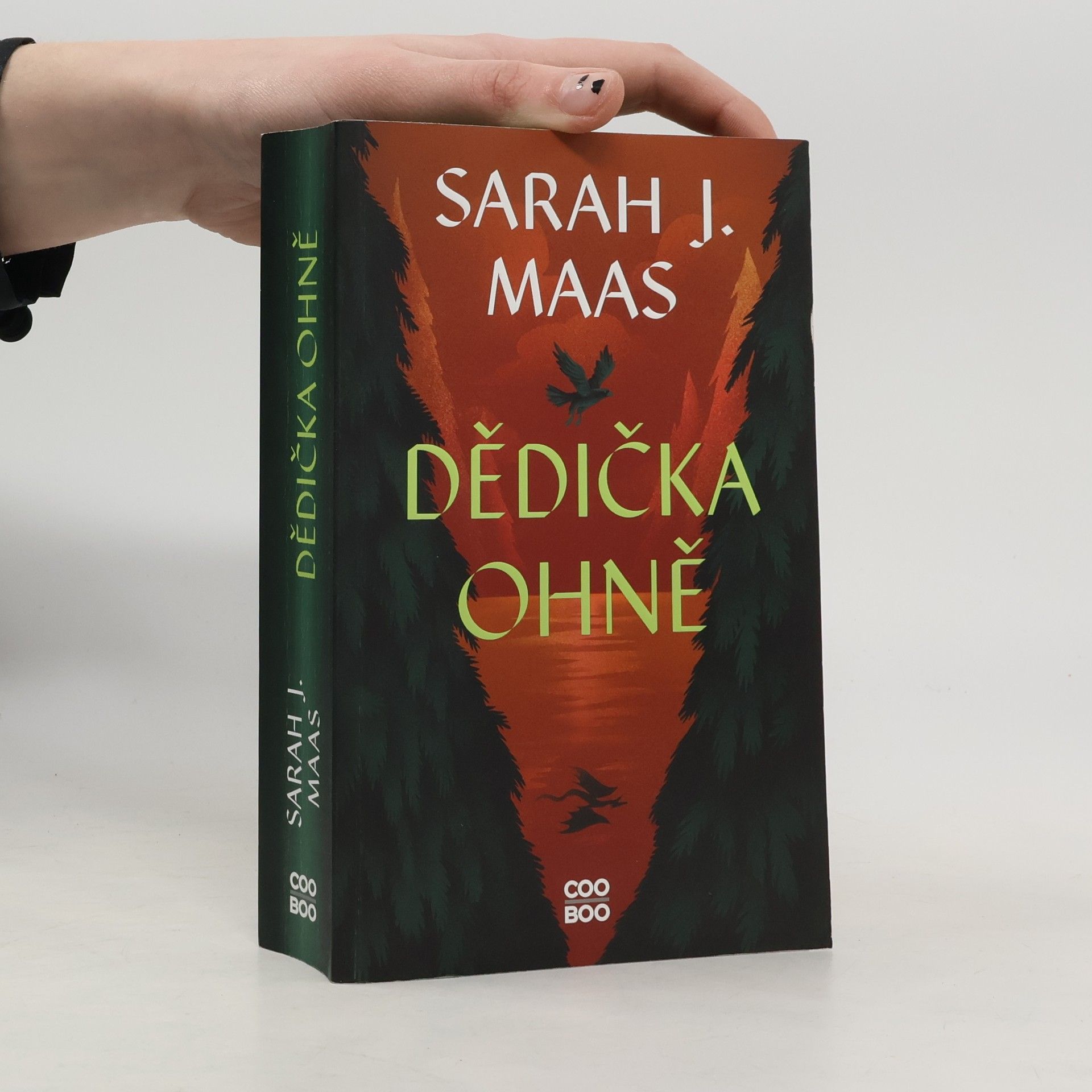 Sarah J. Maas Dědička ohně