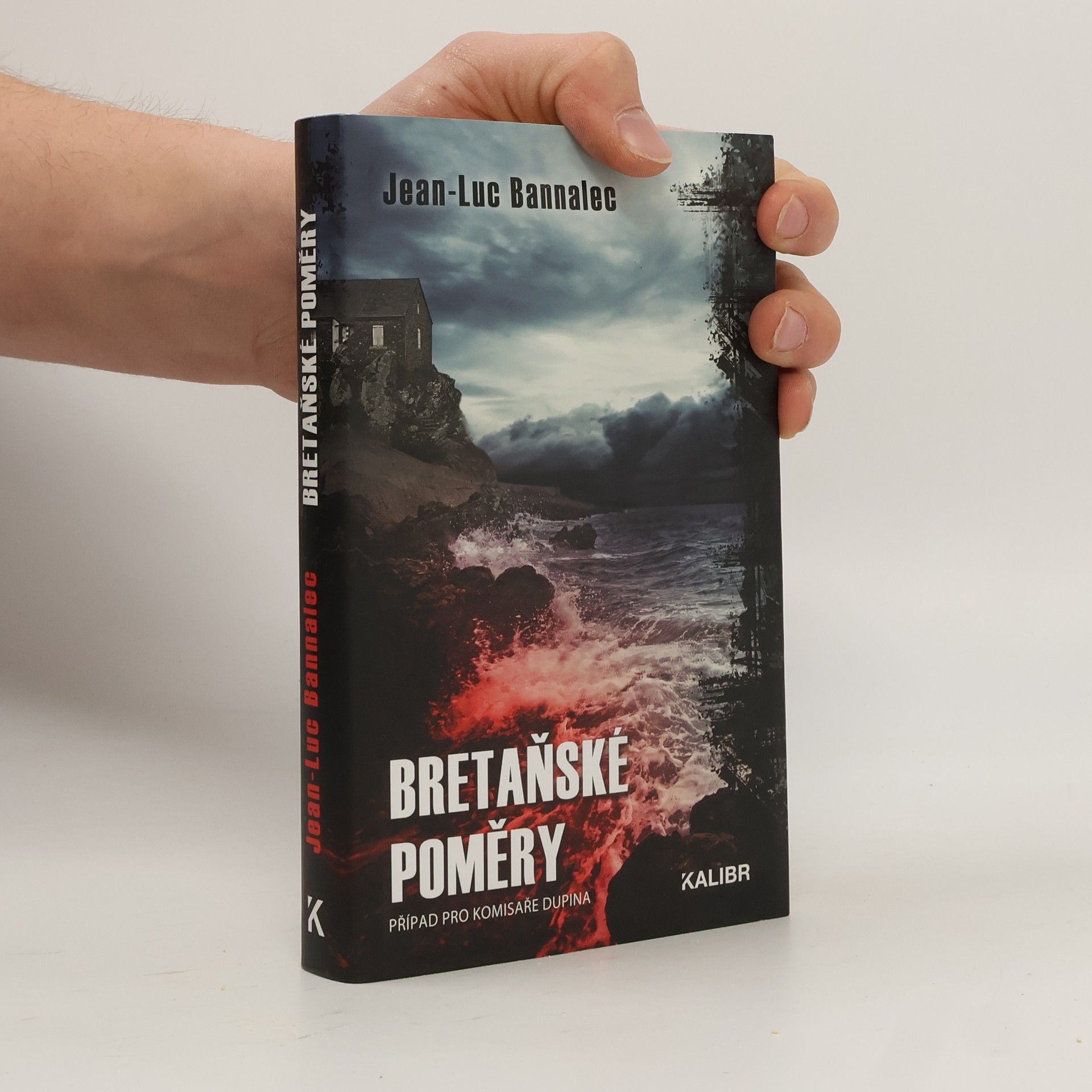 Jörg Bong Bretaňské poměry : případ pro komisaře Dupina