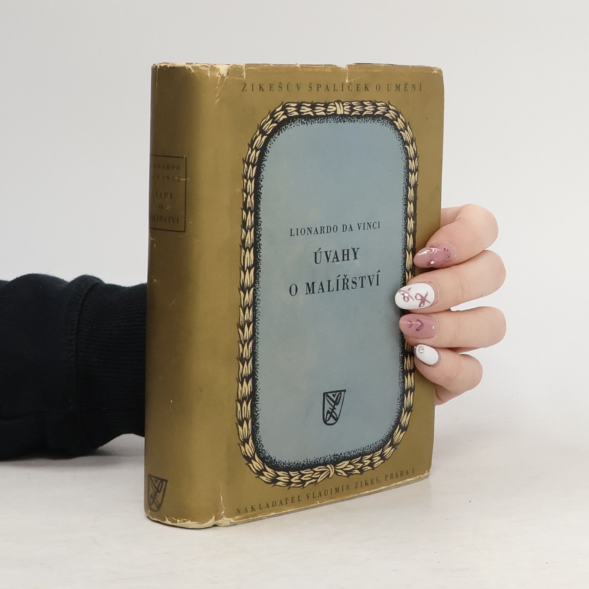 F. Topinka Úvahy o malířství