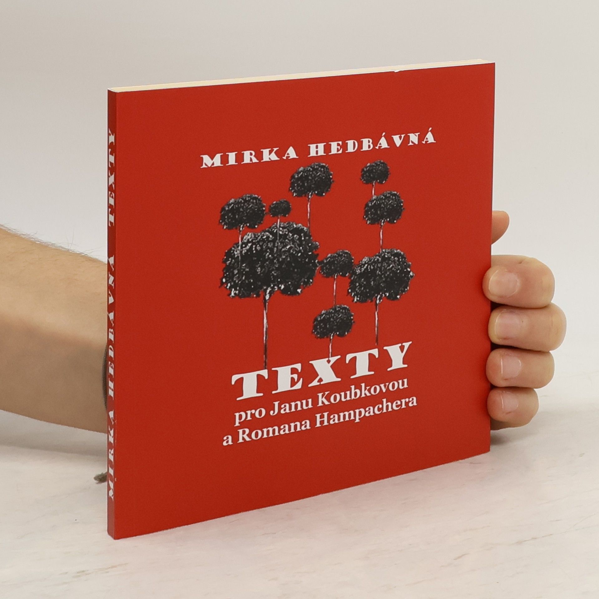 Mirka Hedbávná Texty pro Janu Koubkovou a Romana Hampachera