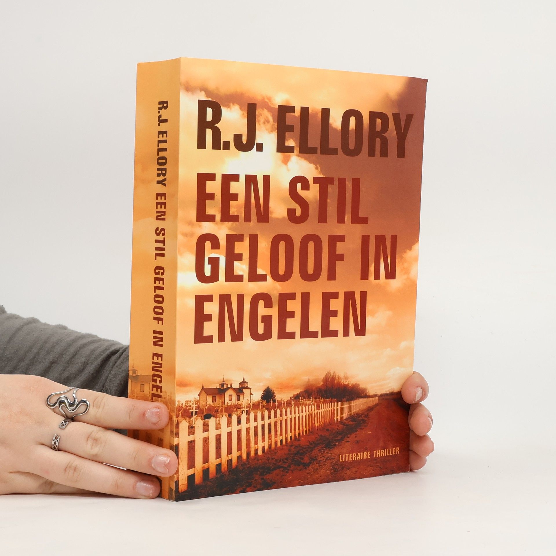 R. J. Ellory Een stil geloof in engelen