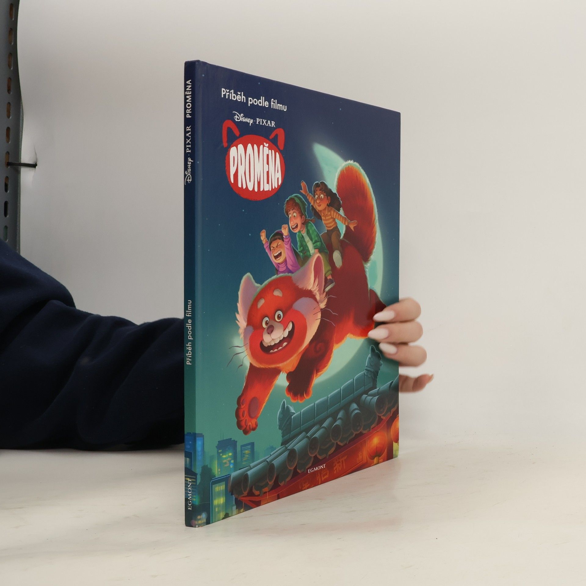 Suzanne Francis Proměna. Příběh podle filmu.