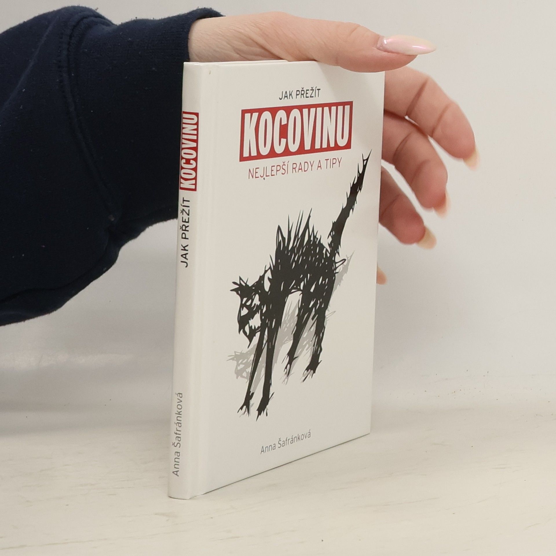 Anna Šafránková Jak přežít kocovinu: Nejlepší rady a tipy