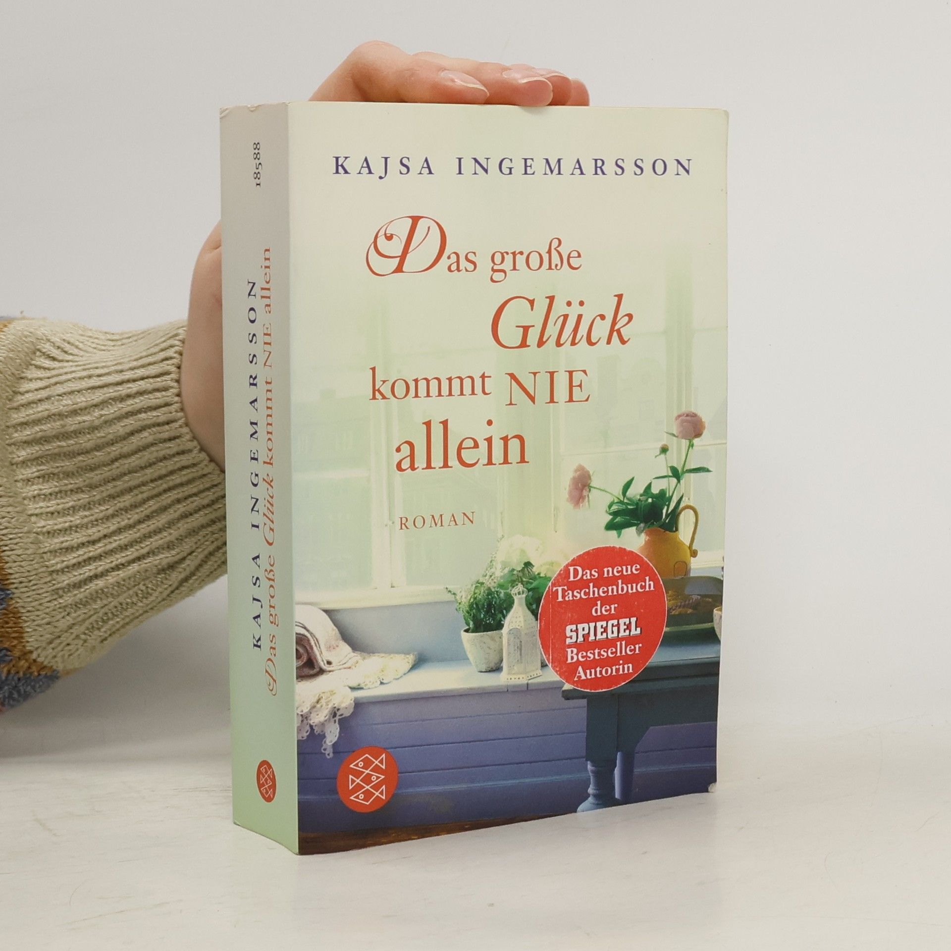 Kajsa Ingemarsson Das grose Glück kommt nie allein