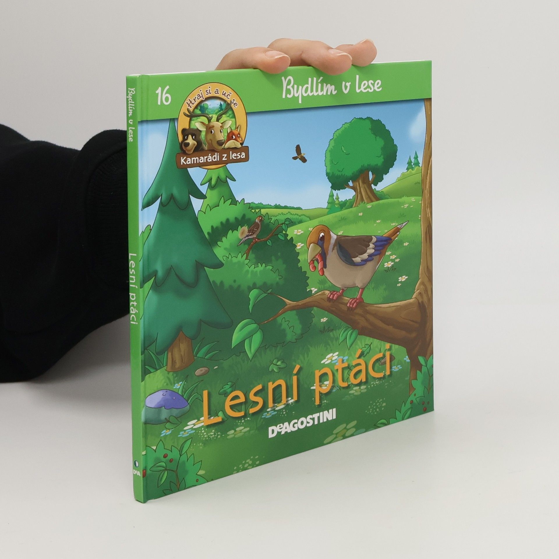 Petra Zavřelová Bydlím v lese 16. Lesní ptáci