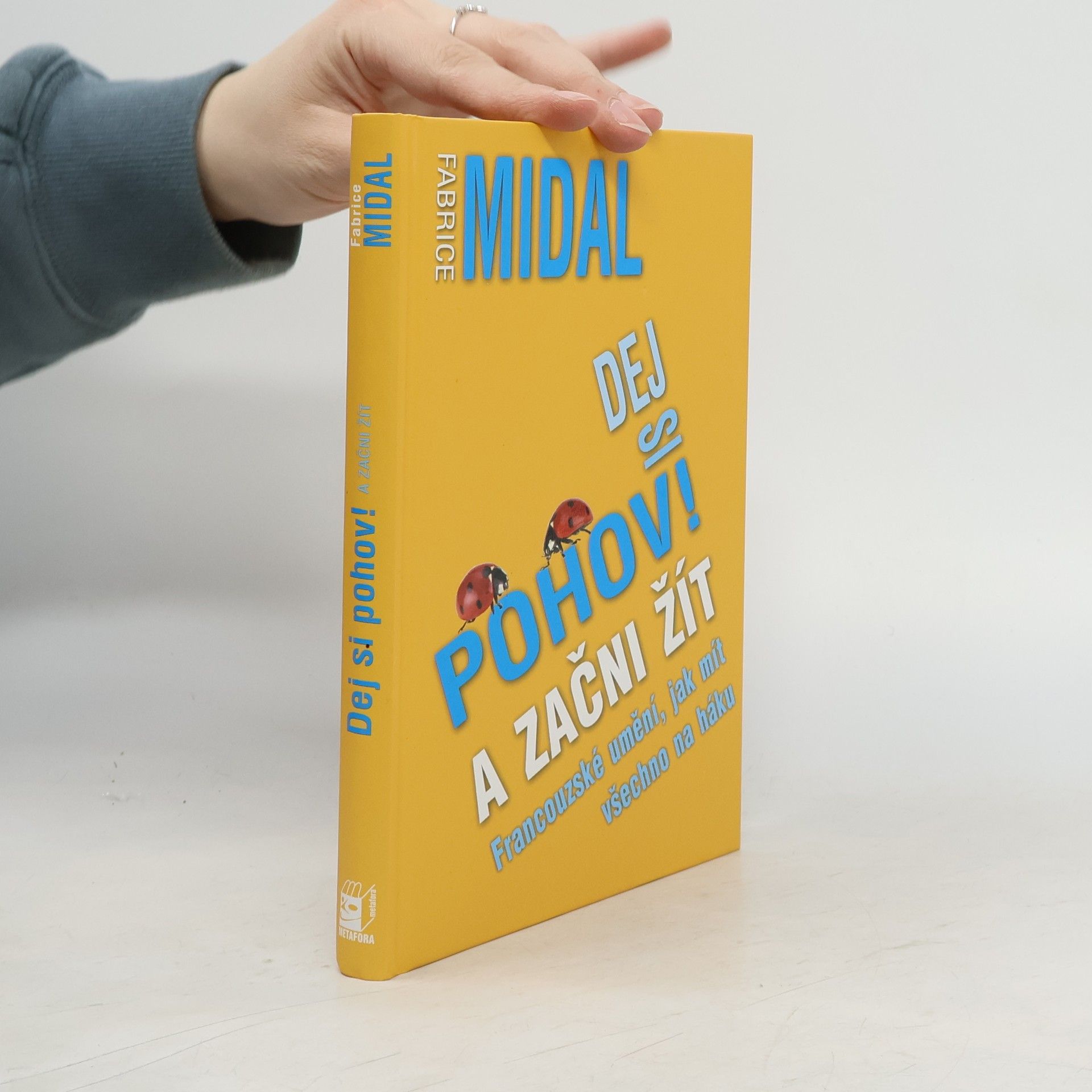 Fabrice Midal Dej si pohov! A začni žít. Francouzské umění, jak mít všechno na háku