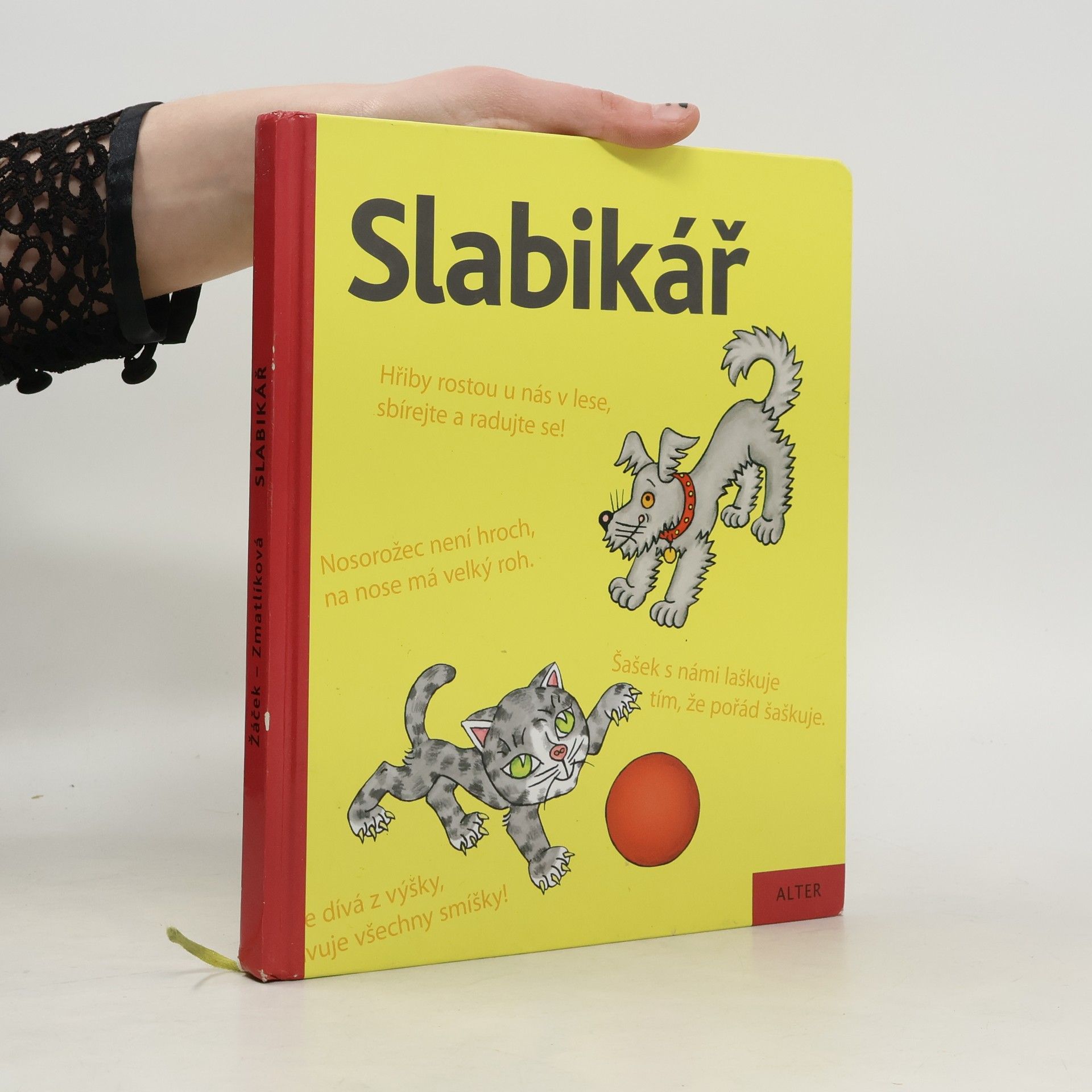 Jiří Žáček Slabikář : učebnice pro vzdělávací obor Český jazyk a literatura