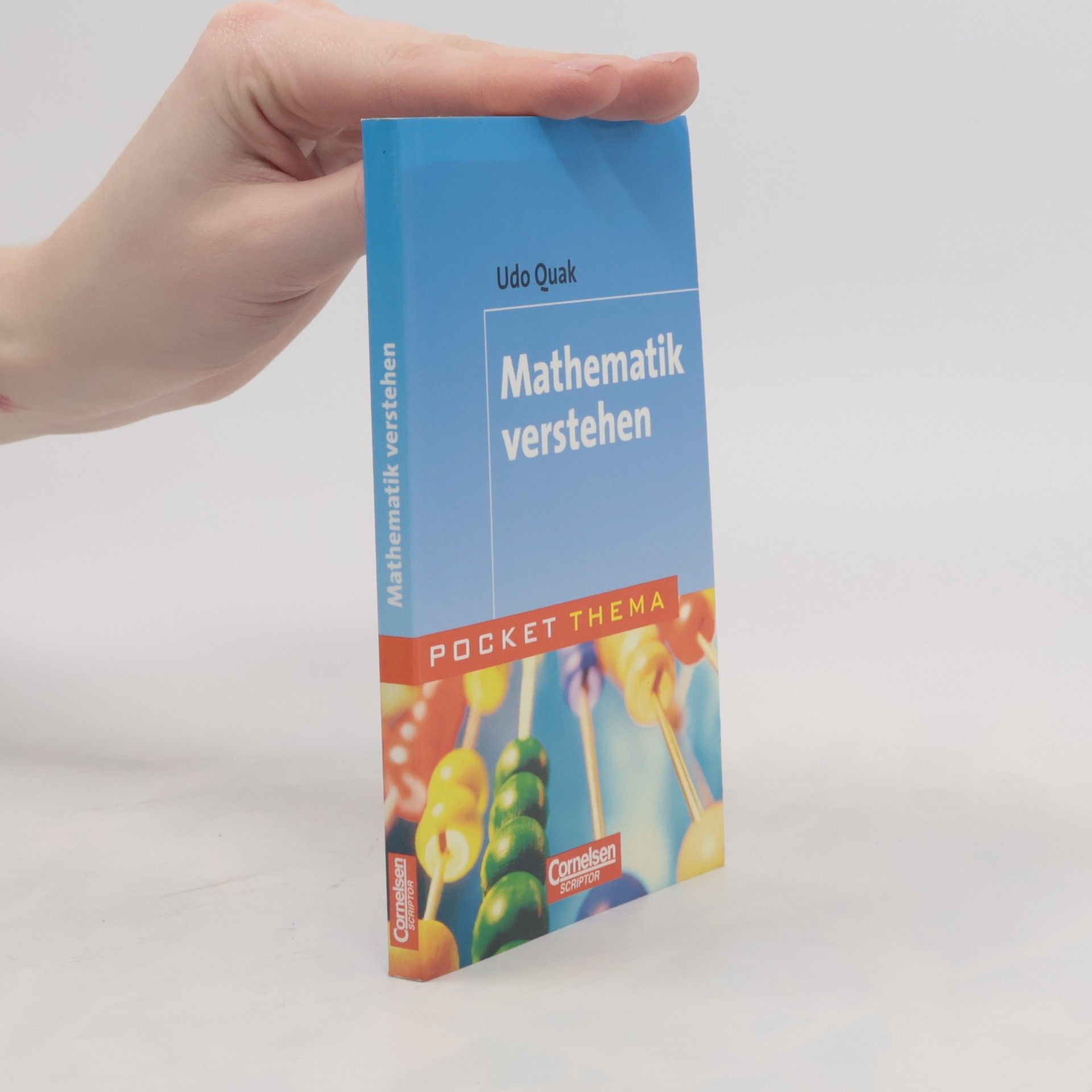 Mathematik verstehen