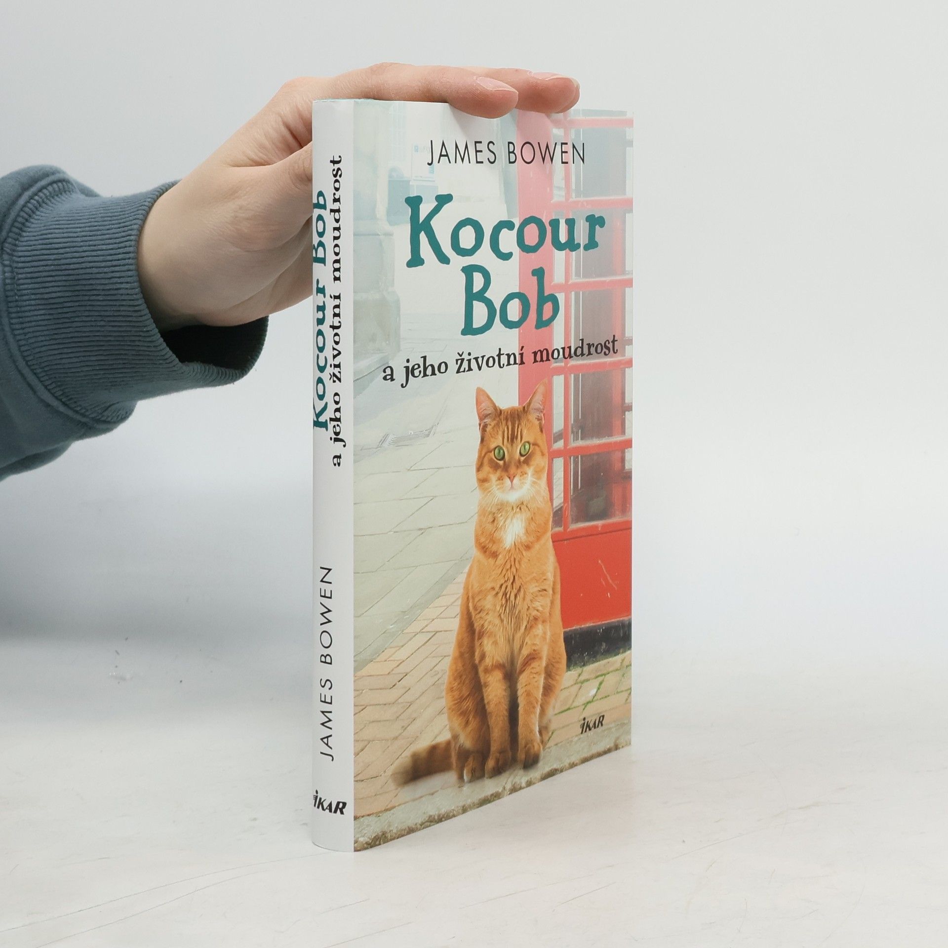 James Bowen Kocour Bob a jeho životní moudrost