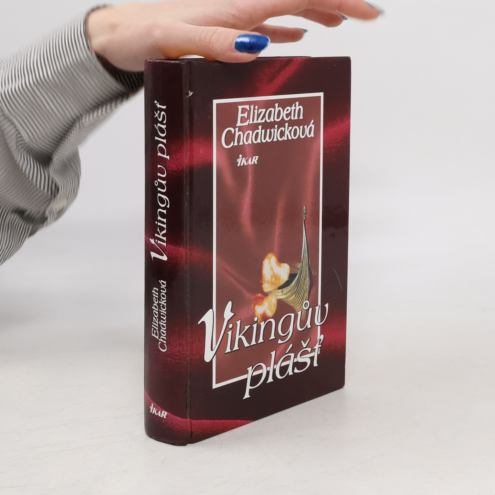 Elizabeth Chadwick Vikingův plášť