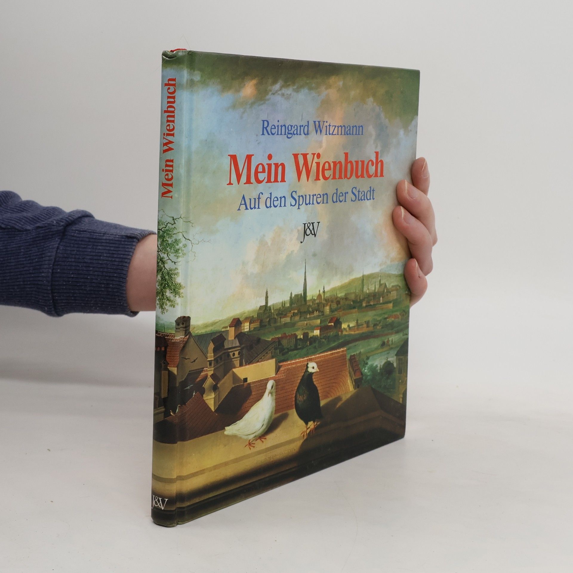 Reingard Witzmann Mein Wienbuch