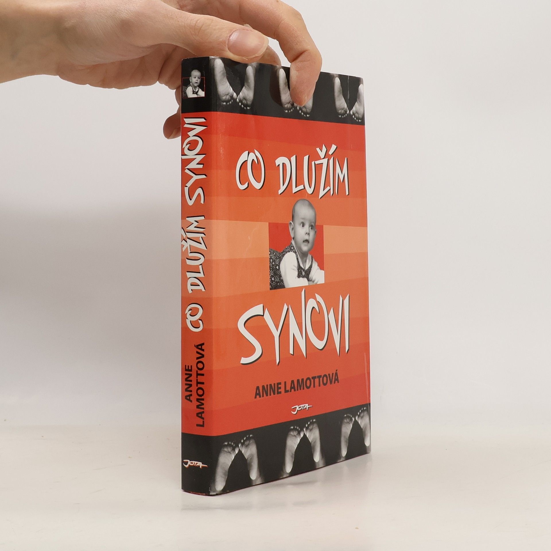 Anne Lamott Co dlužím synovi