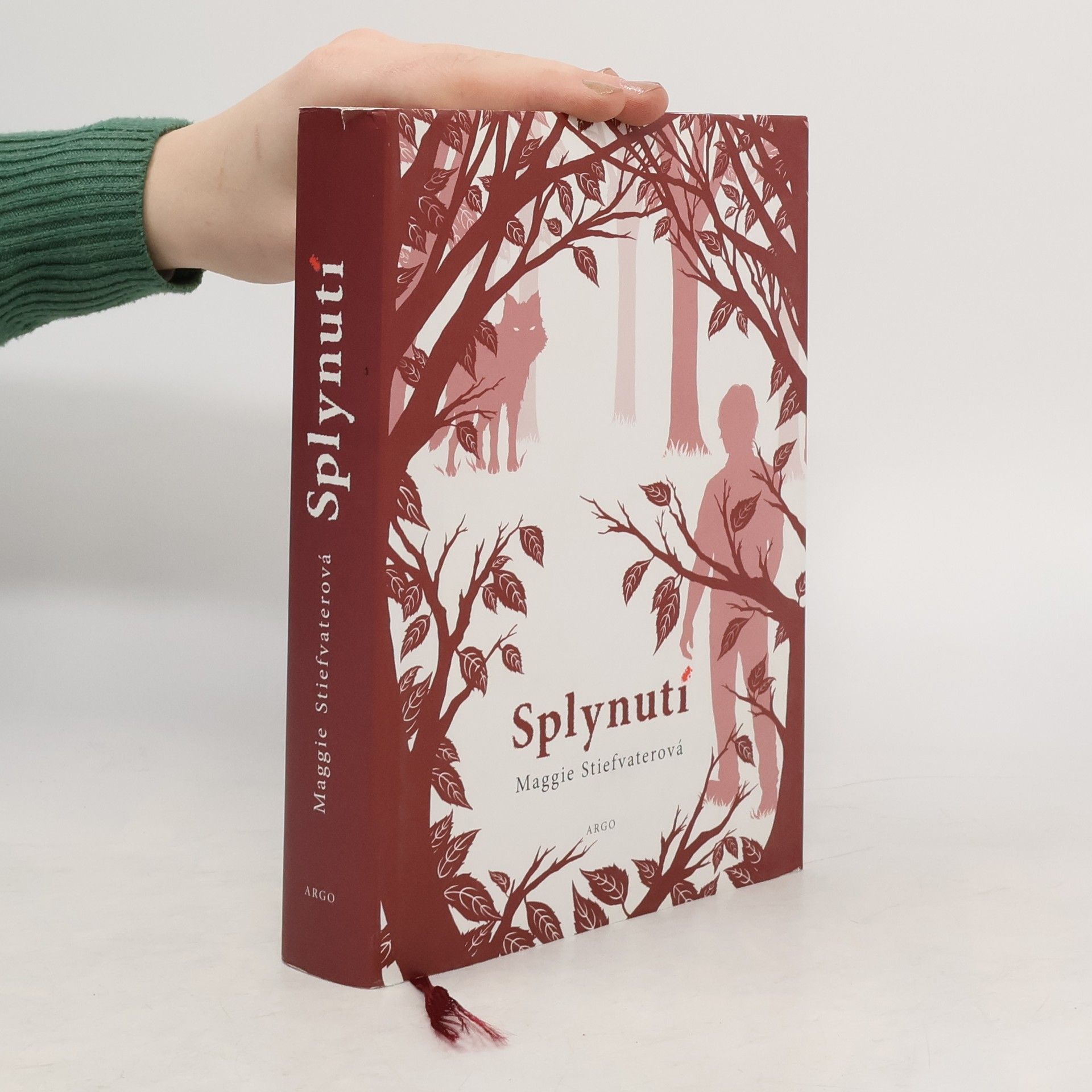 Maggie Stiefvater Splynutí