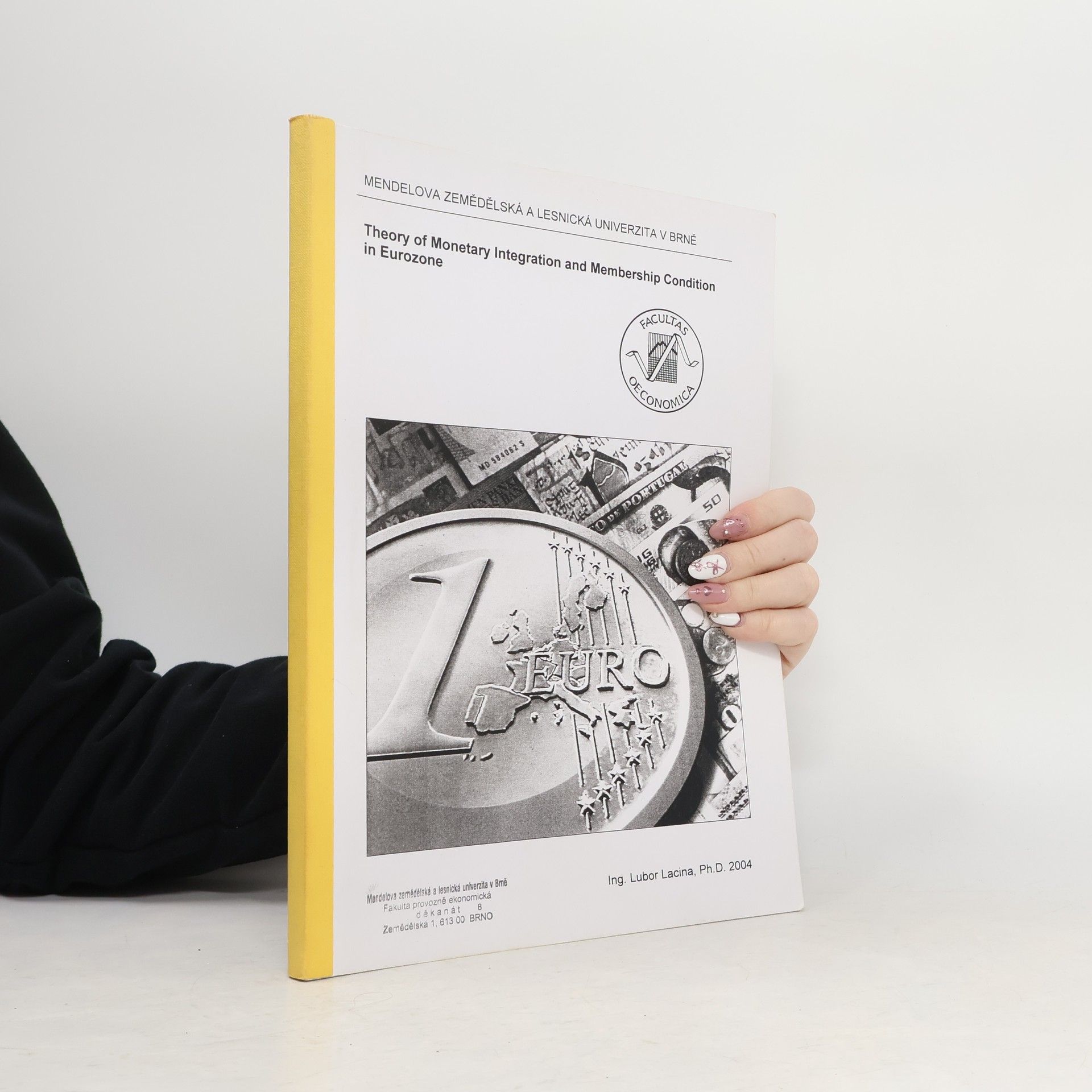 Kolektiv autorů Theory of Monetary Integration and Membership Condition in Eurozone