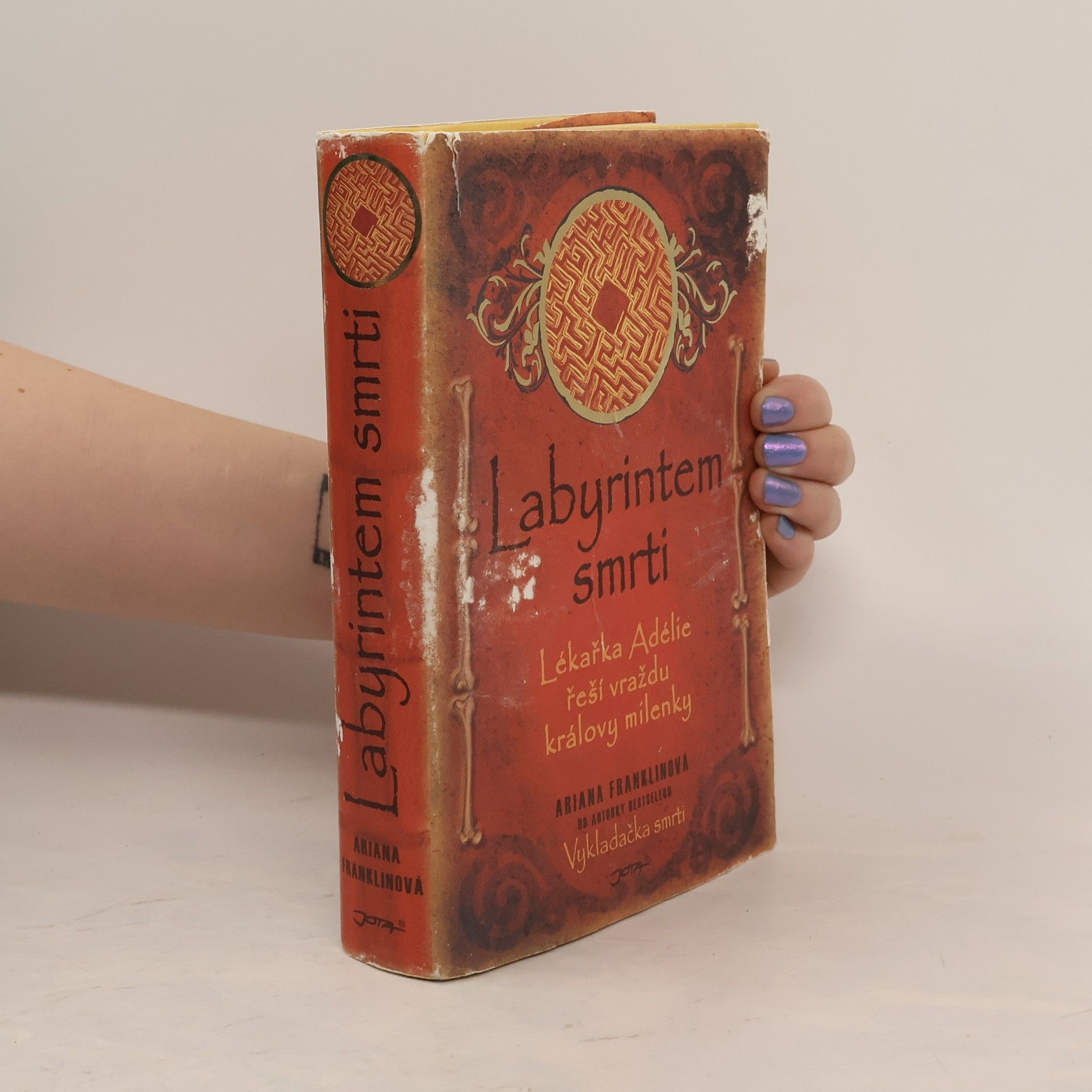 Diana Norman Labyrintem smrti: Lékařka Adélie řeší vraždu královy milenky