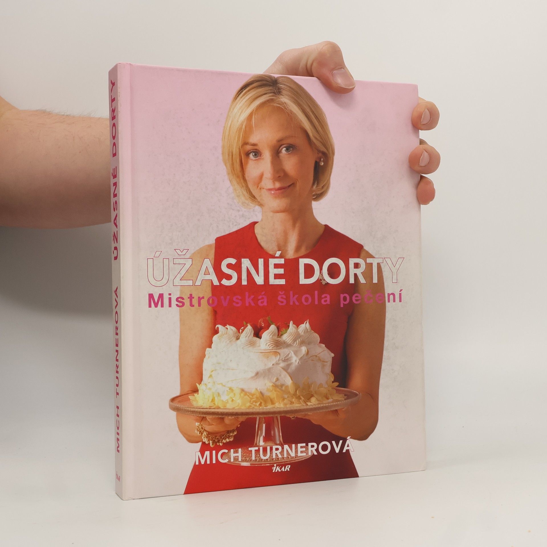 Mich Turner Úžasné dorty. Mistrovská škola pečení