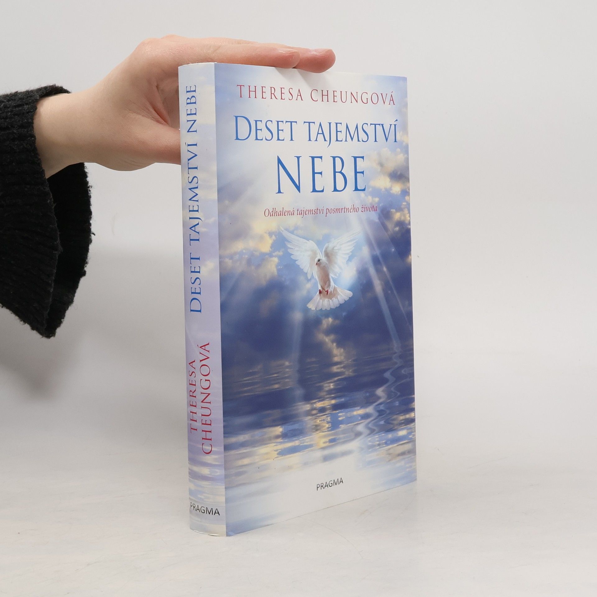Theresa FrancisCheung Deset tajemství nebe