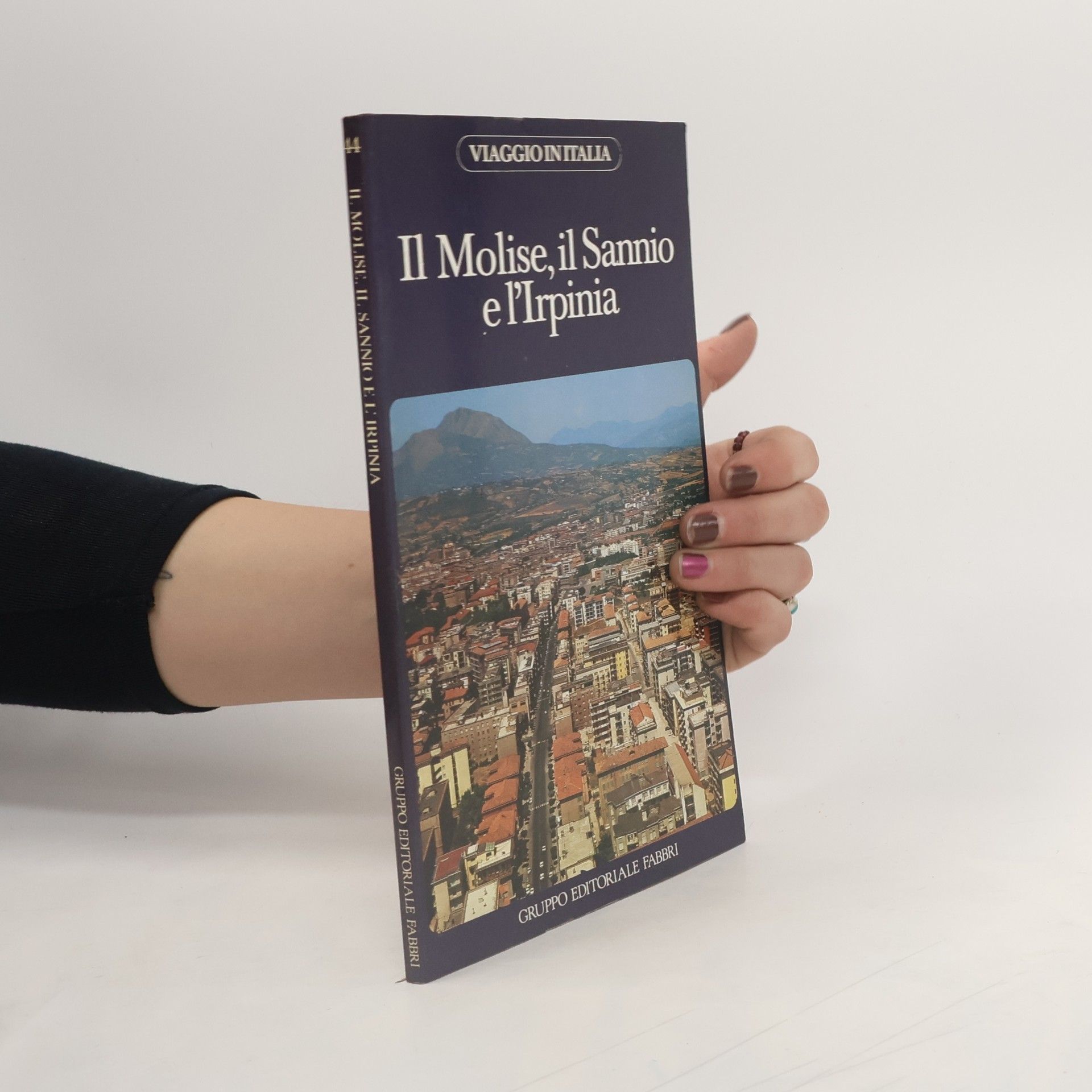 Kolektív autorov Il Molise, il Sannio e l'Irpinia