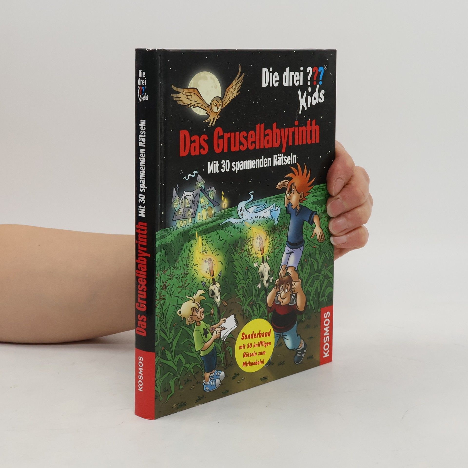 Ulf Blanck Das Grusellabyrinth