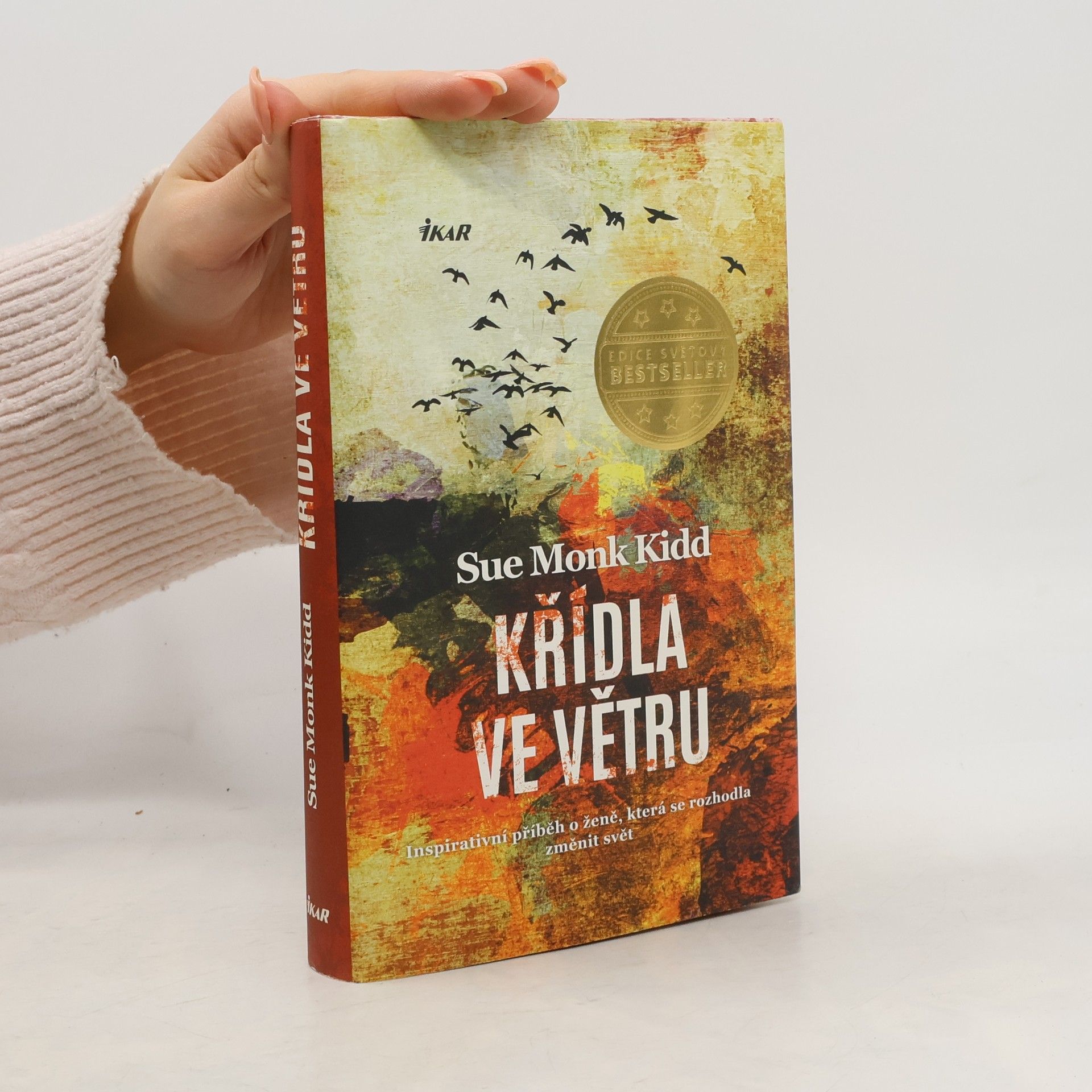 Sue Monk Kidd Křídla ve větru