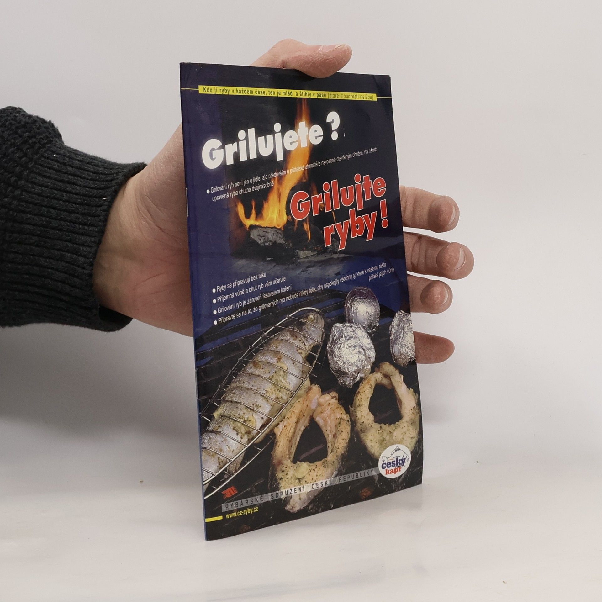 Kolektív autorov Grilujete? Grilujte ryby!