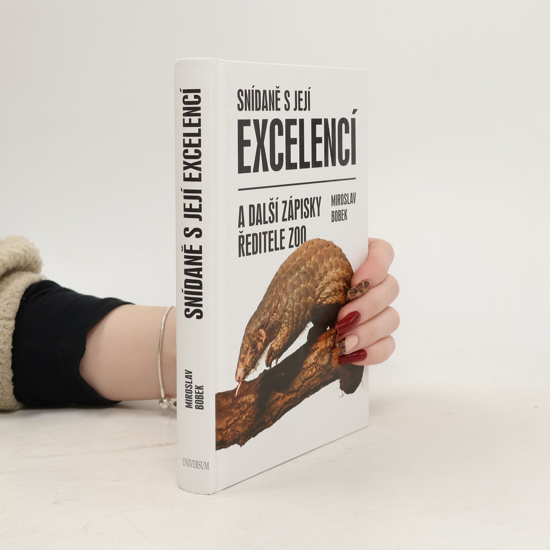 Miroslav Bobek Snídaně s její excelencí