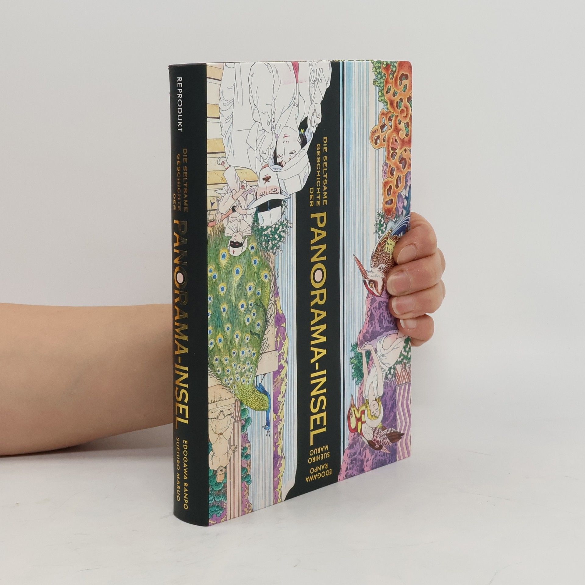 Suehiro Maruo Die seltsame Geschichte der Panorama-Insel