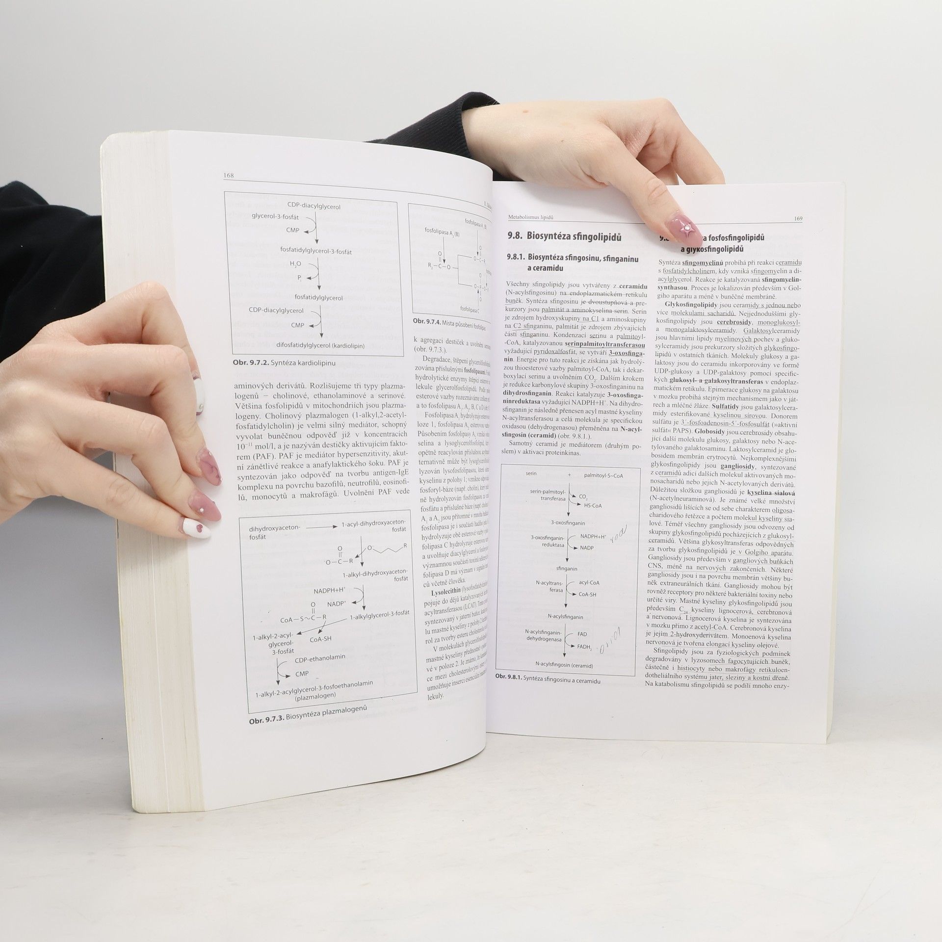 Bohuslav Matouš Základy lékařské chemie a biochemie
