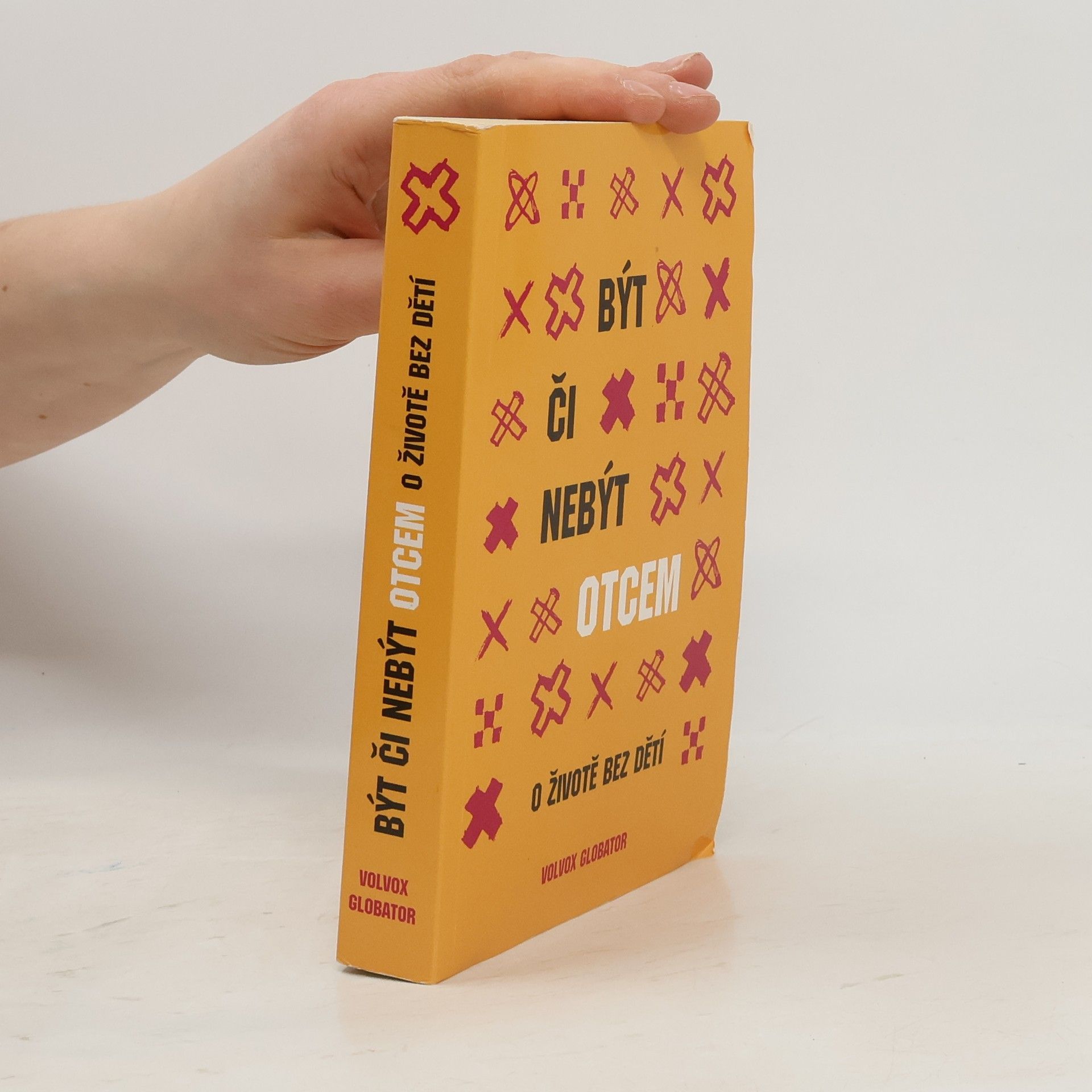 Kolektiv autorů Být či nebýt otcem: O životě bez dětí