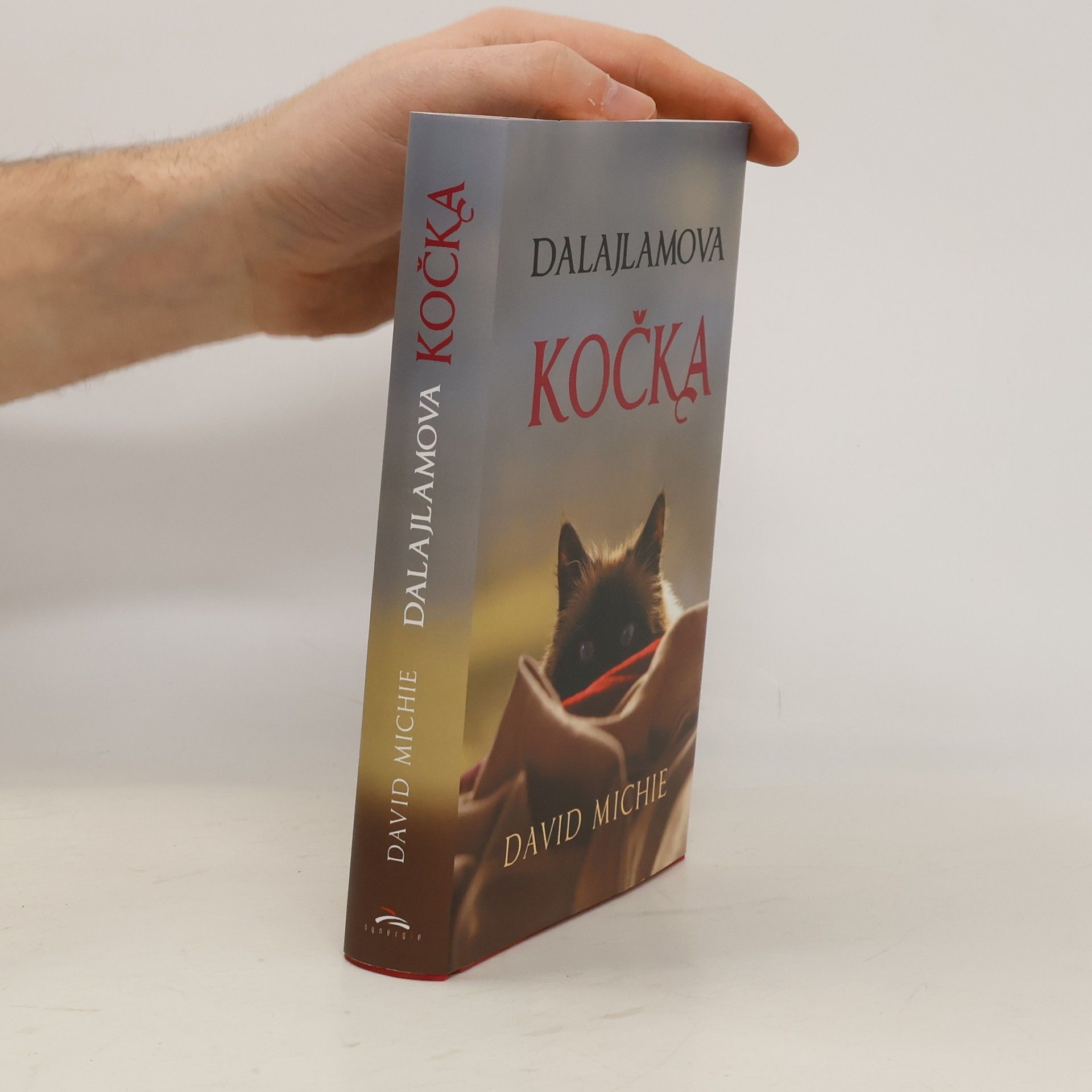 David Michie Dalajlamova kočka