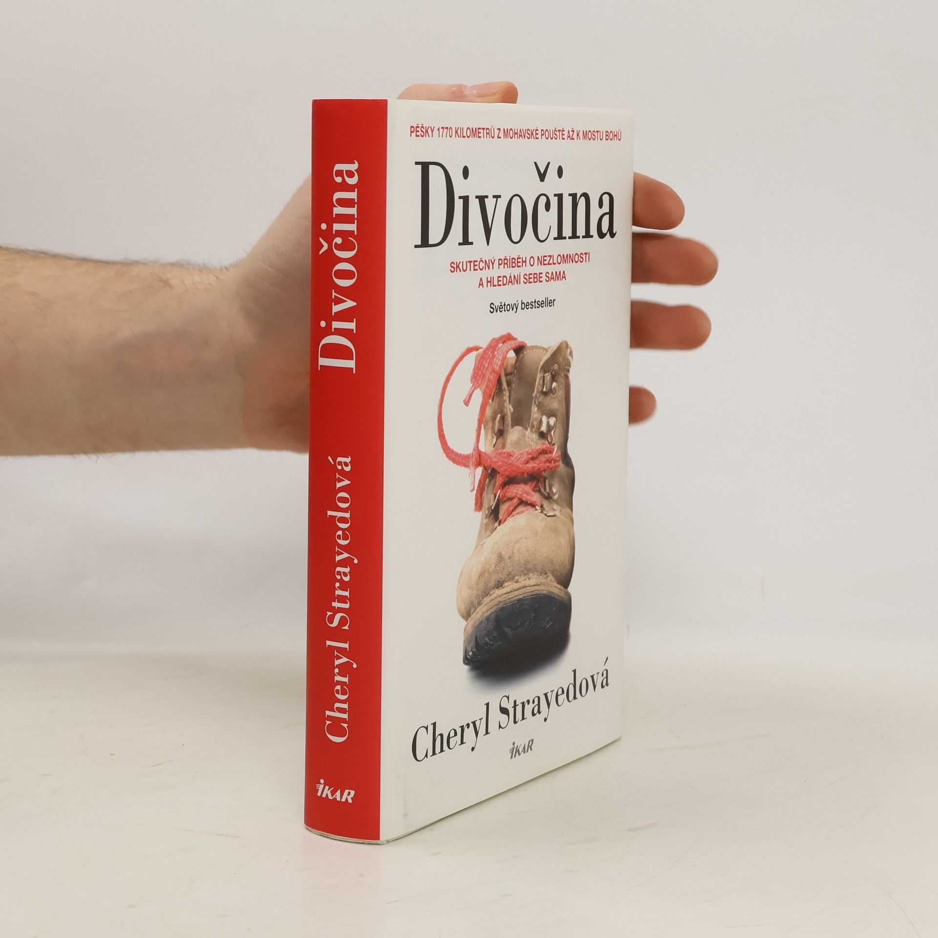 Cheryl Strayed Divočina