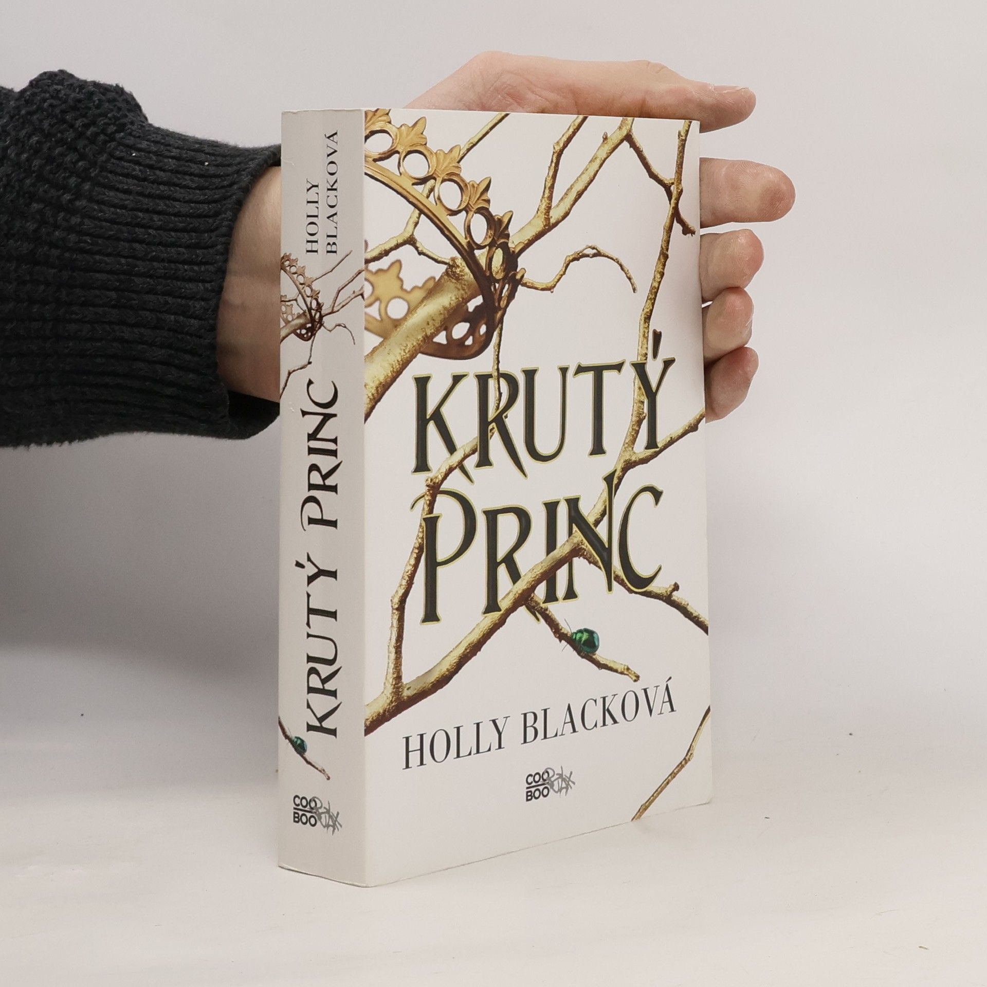 Holly Black Krutý princ