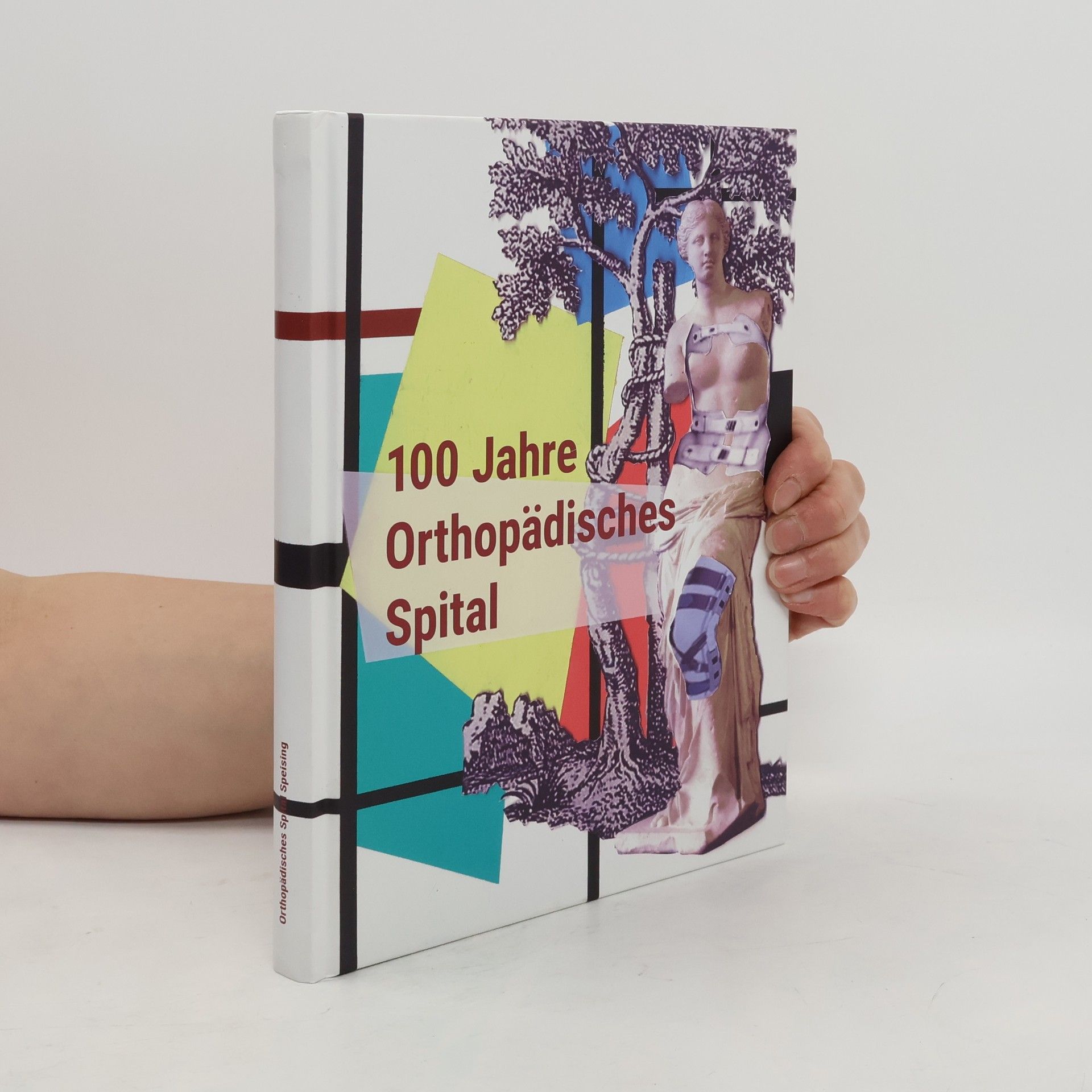 Autorenkollektiv 100 Jahre Orthopädisches Spital Speising