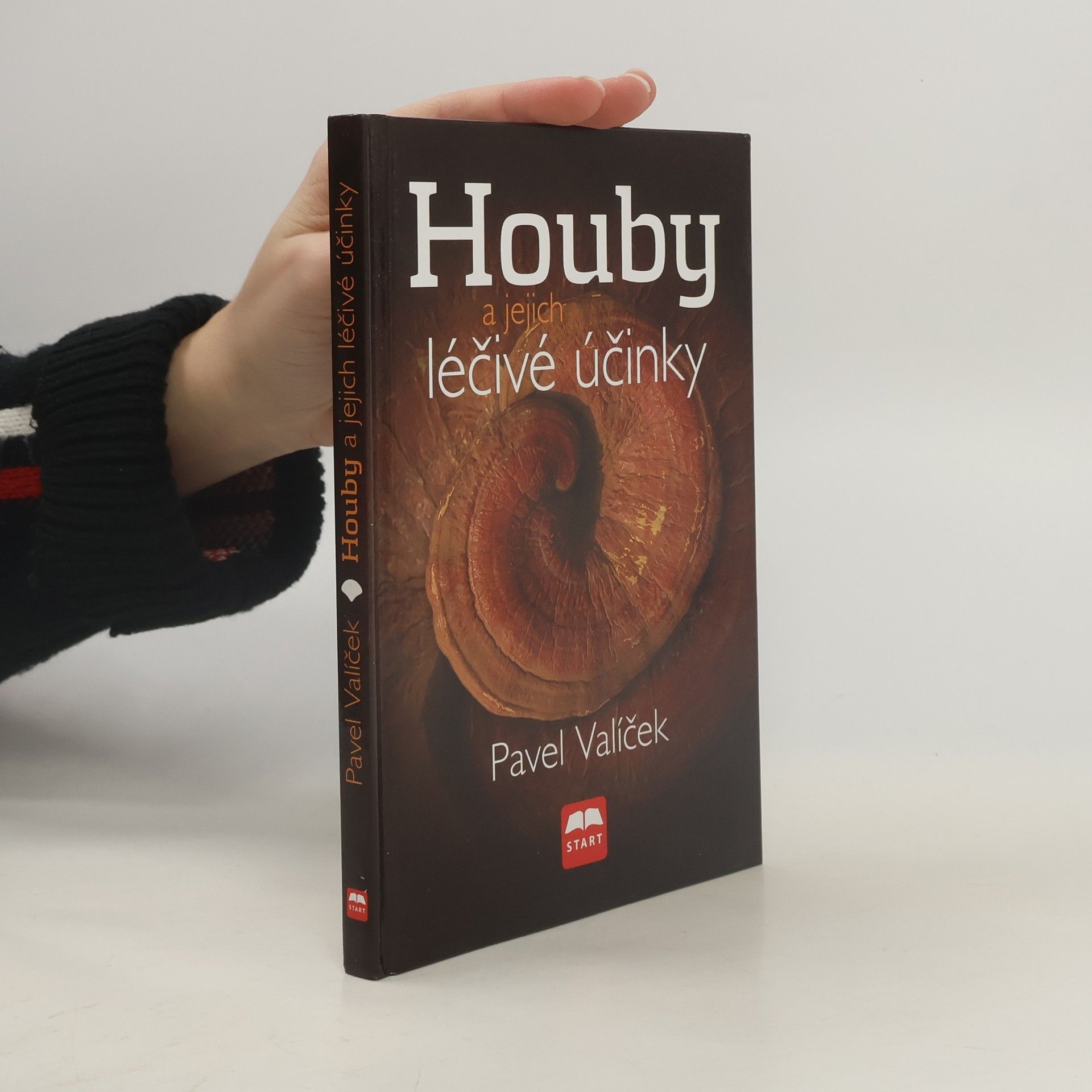 Houby a jejich léčivé účinky
