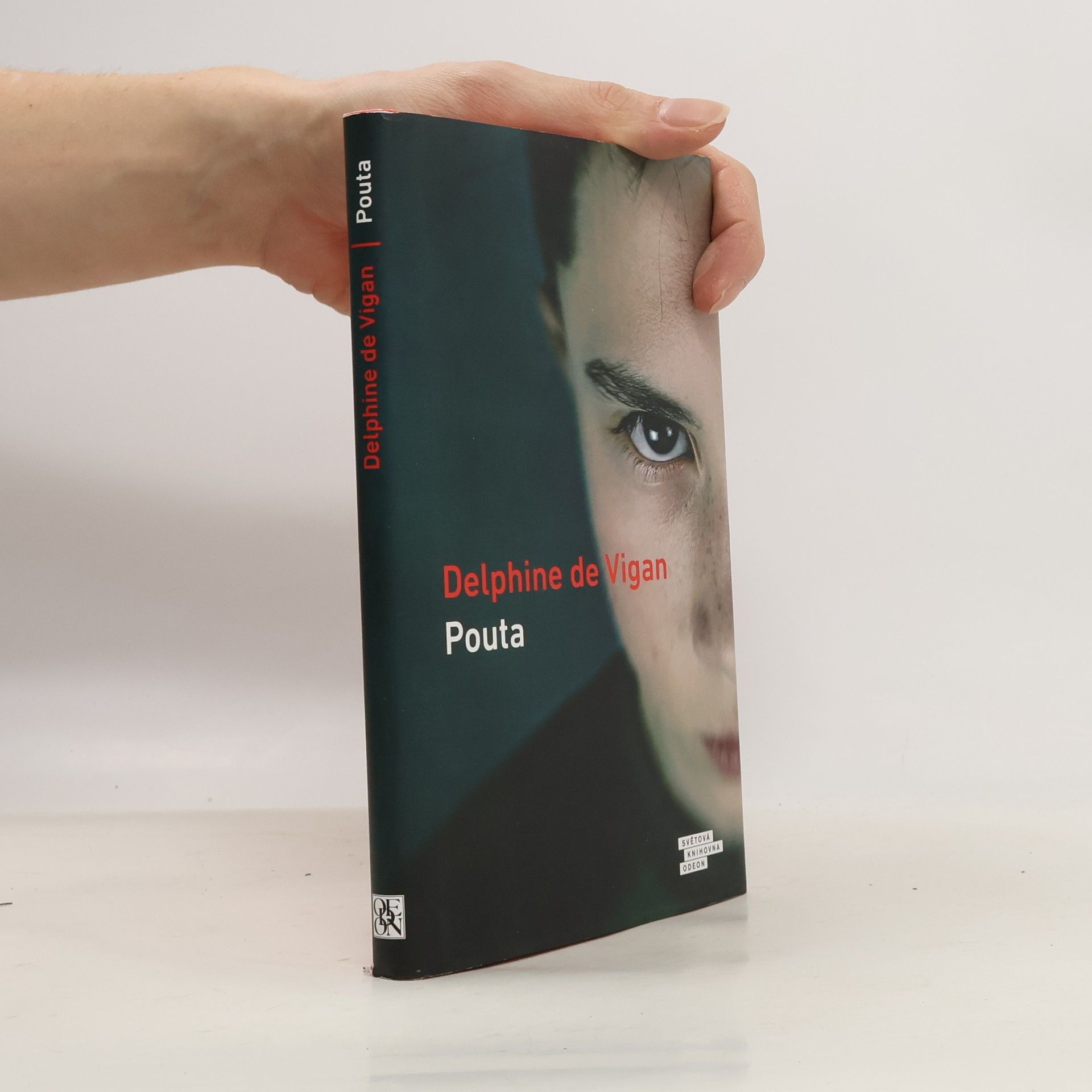 Delphine de Vigan Pouta