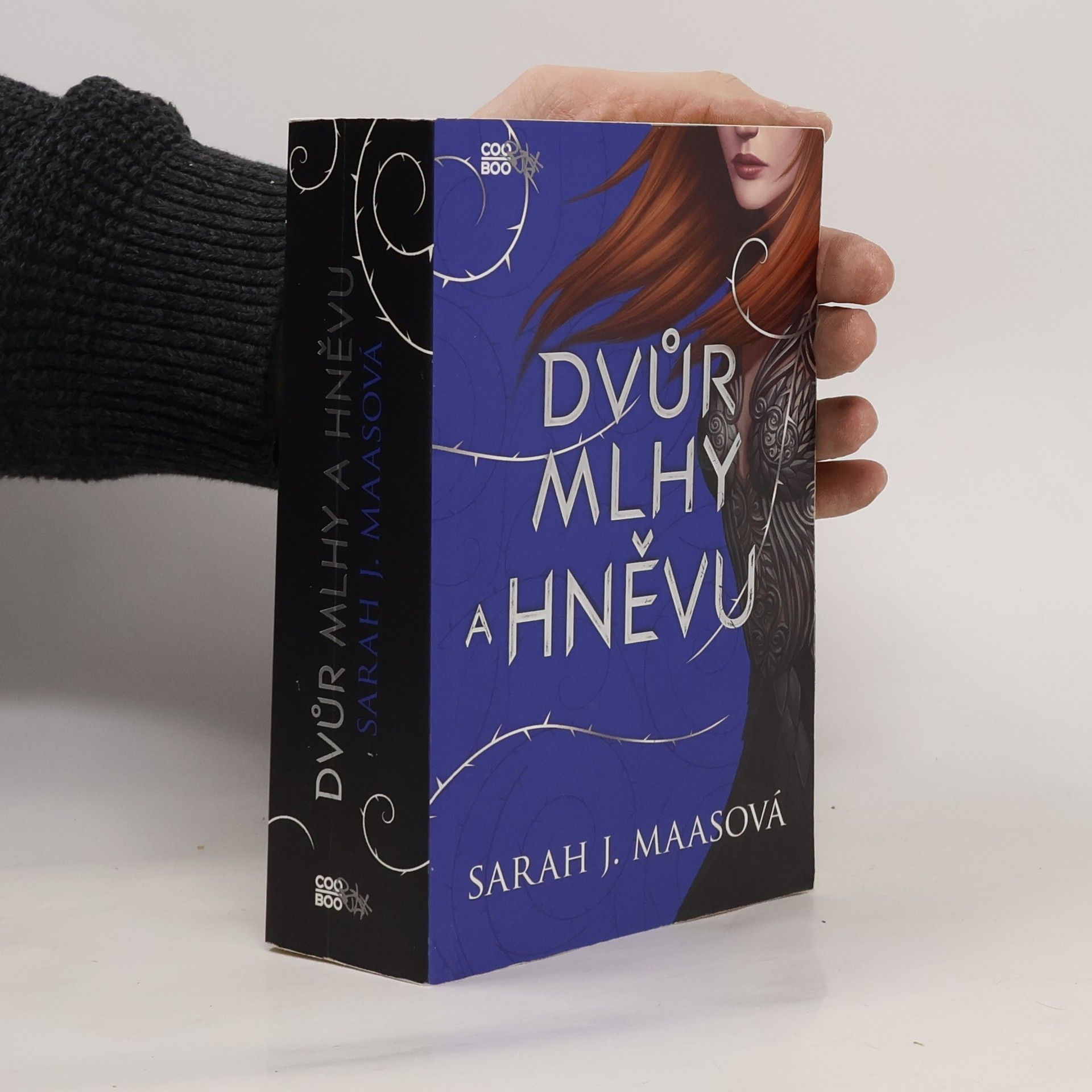 Sarah J. Maas Dvůr mlhy a hněvu