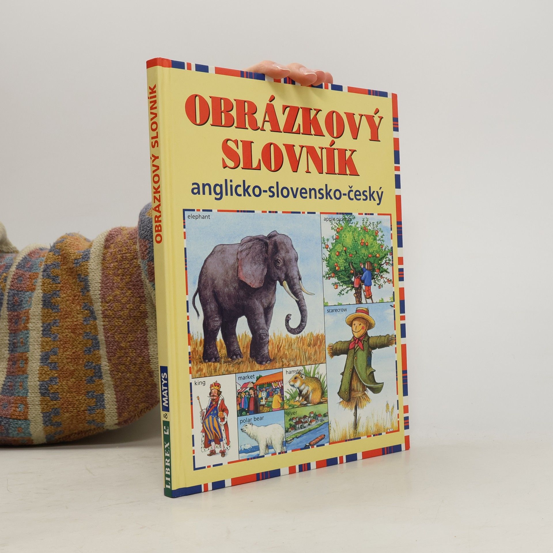 Autorenkollektiv Obrázkový slovník anglicko-slovensko-český