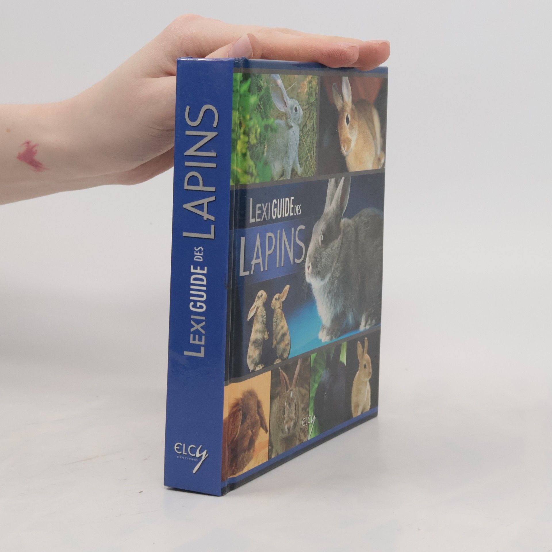 Vincent Lepalestel Lexiguide des lapins