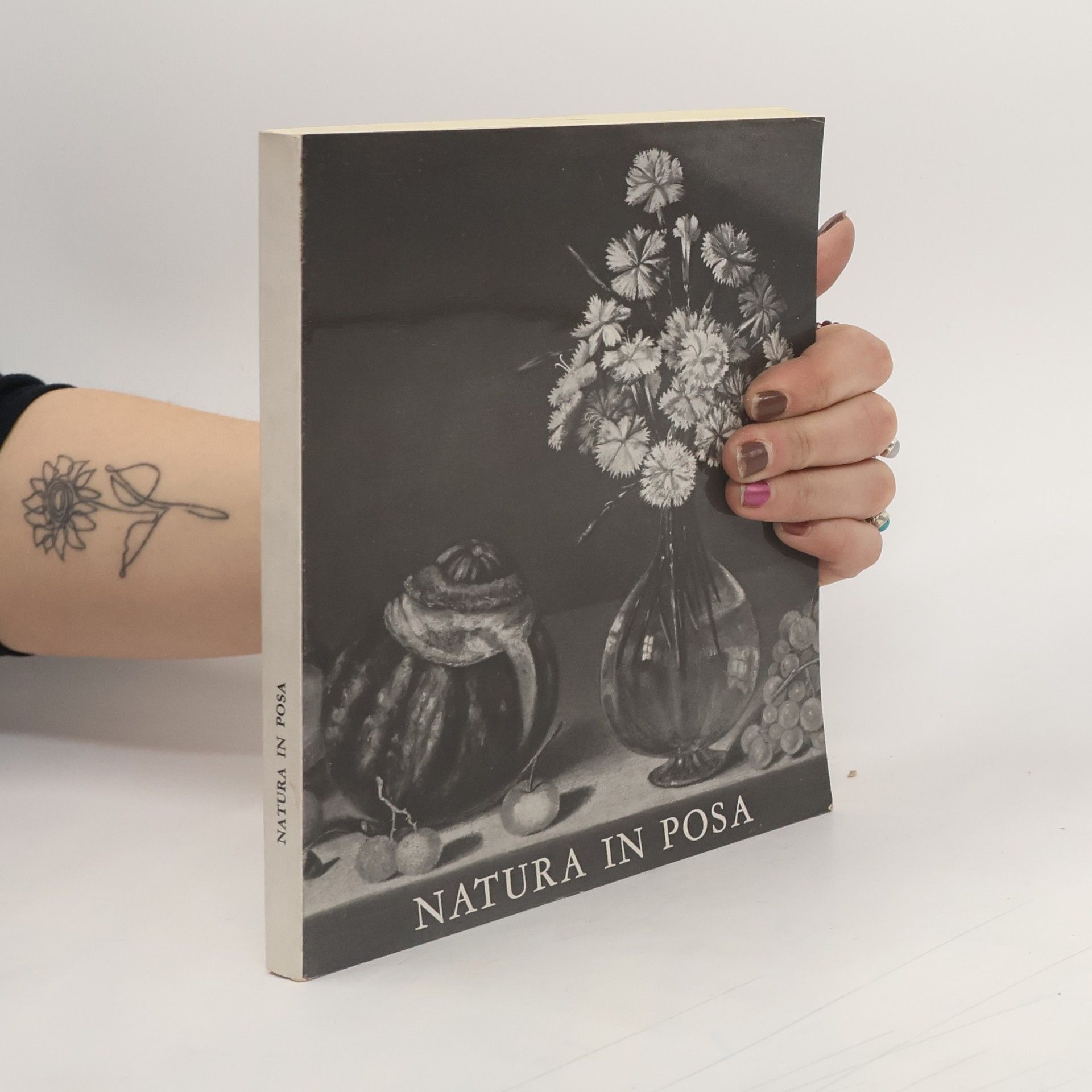 Autorenkollektiv Natura in posa