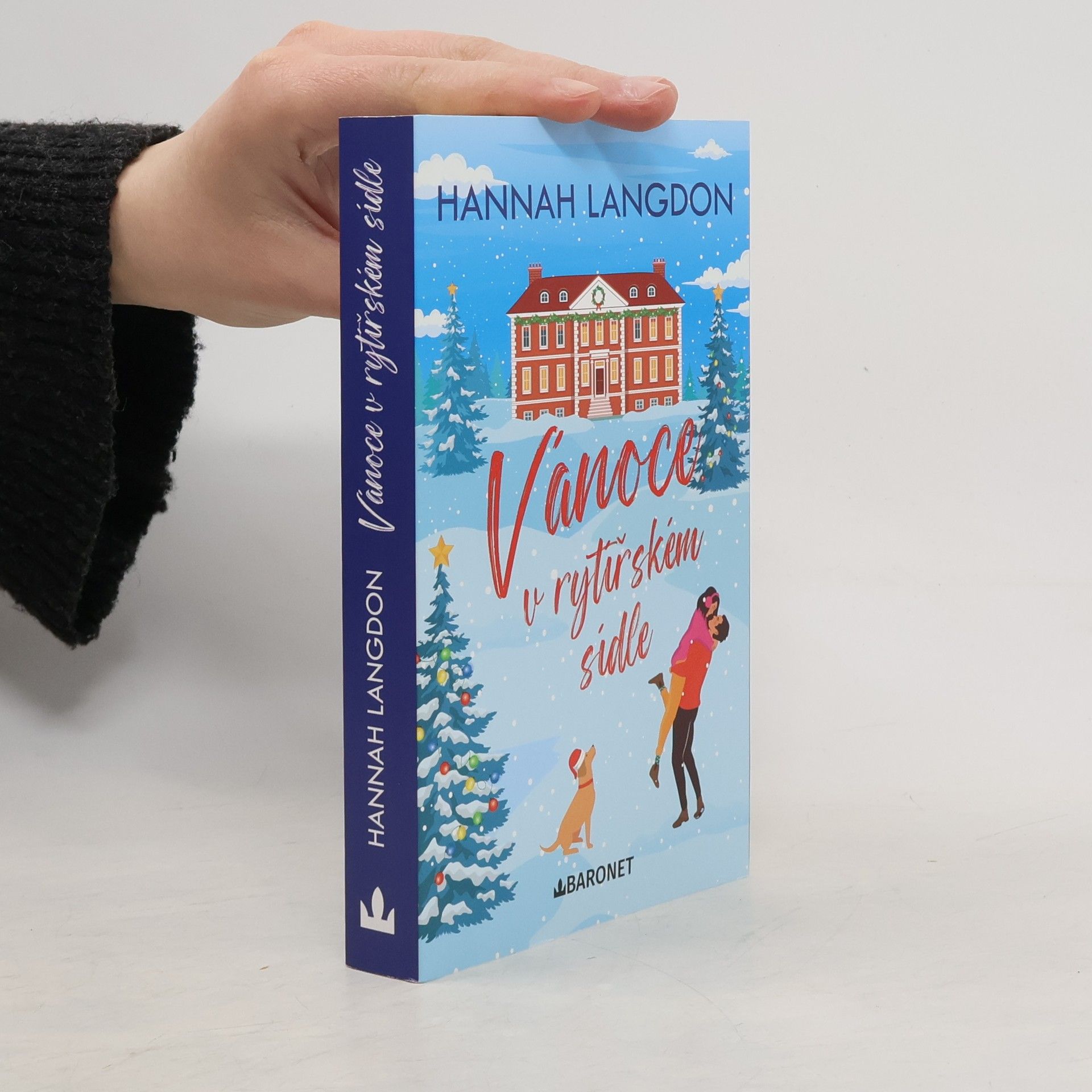 Hannah Langdon Vánoce v rytířském sídle