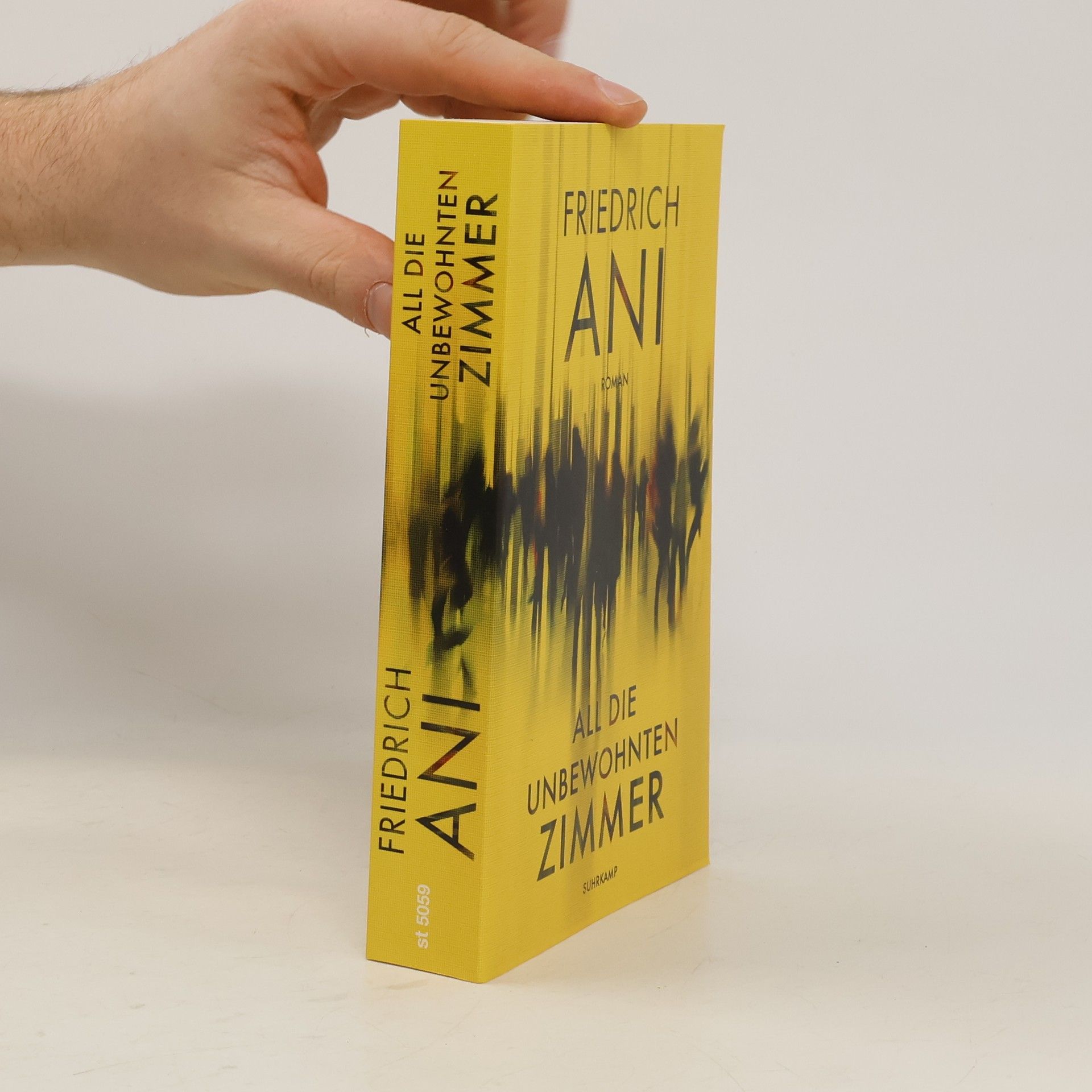 Friedrich Ani All die unbewohnten Zimmer