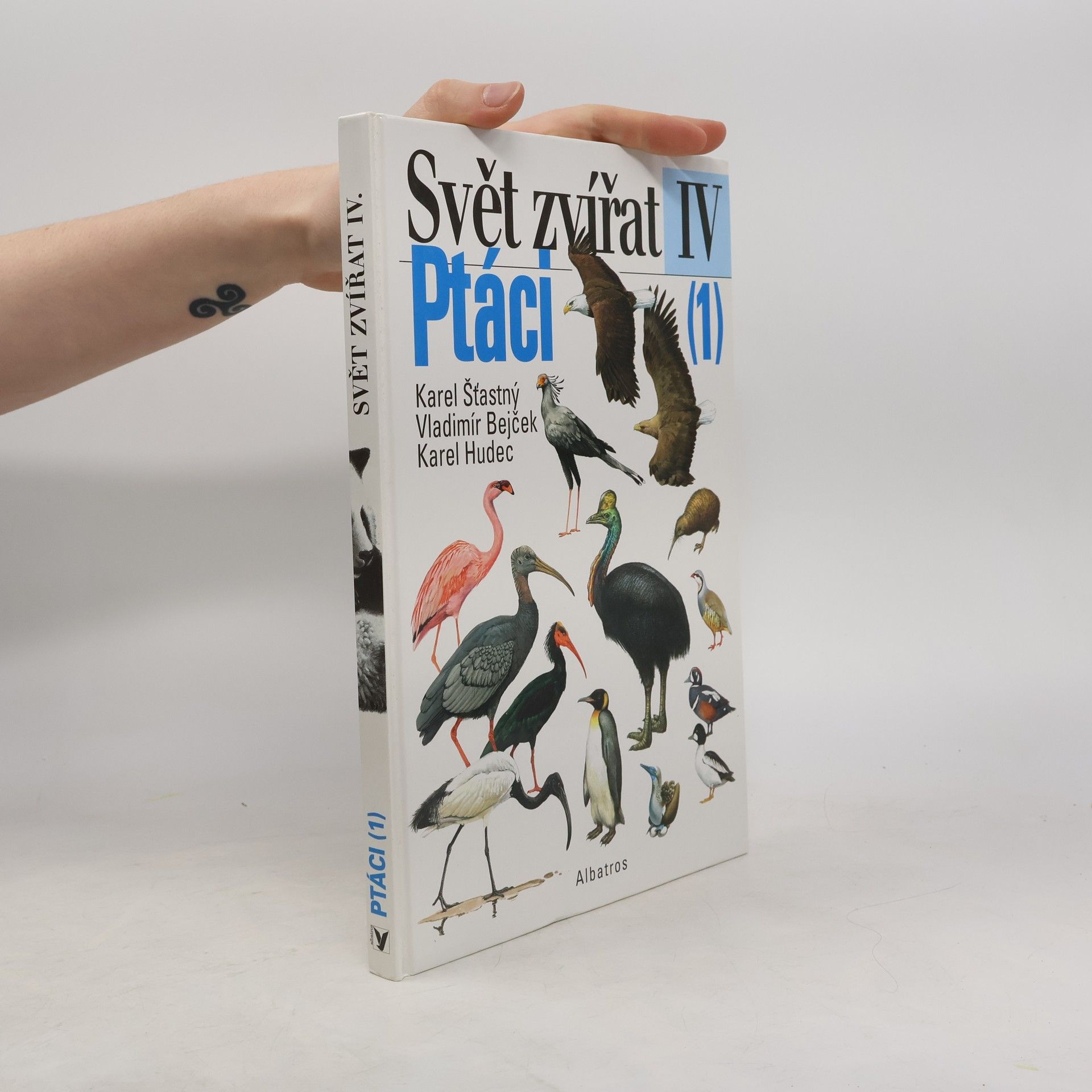 Svět zvířat IV. Ptáci 1