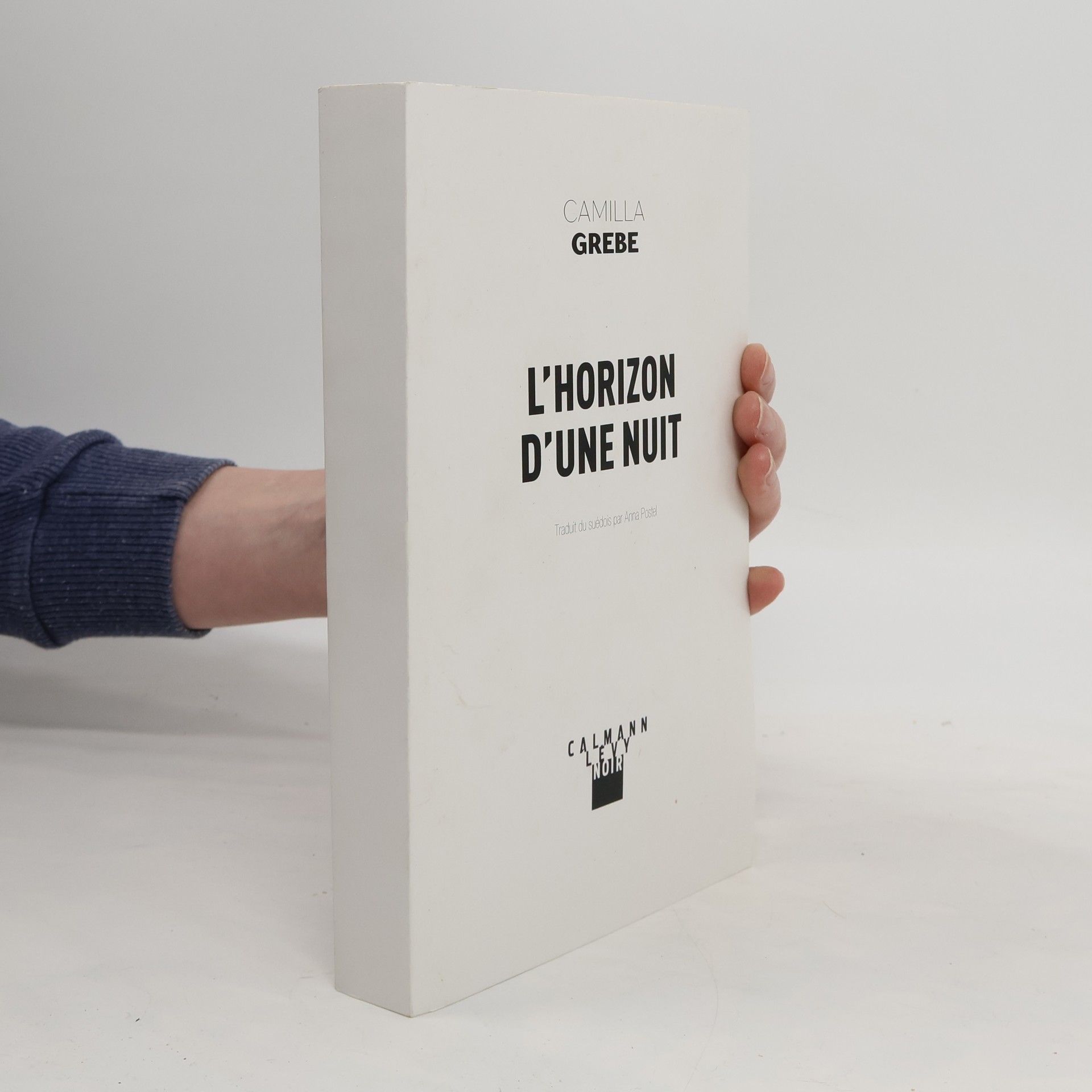 Camilla Grebe Noir: L'horizon d'une nuit