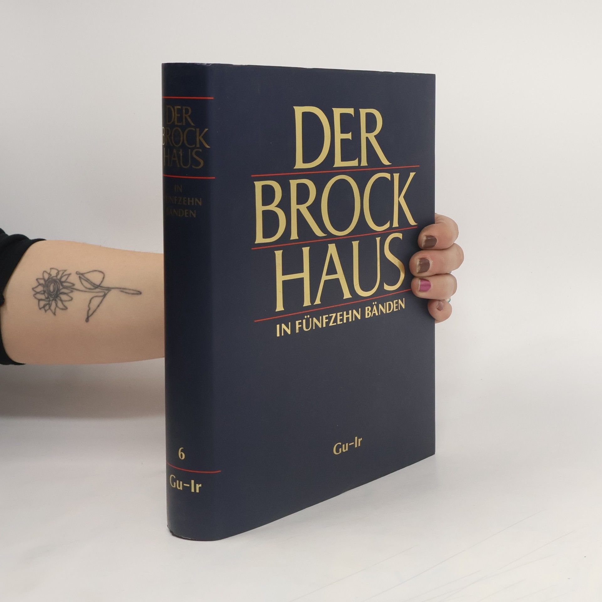 Autorenkollektiv Der Brockhaus in Fünfzehn Bänden 6 (Gu-Ir)