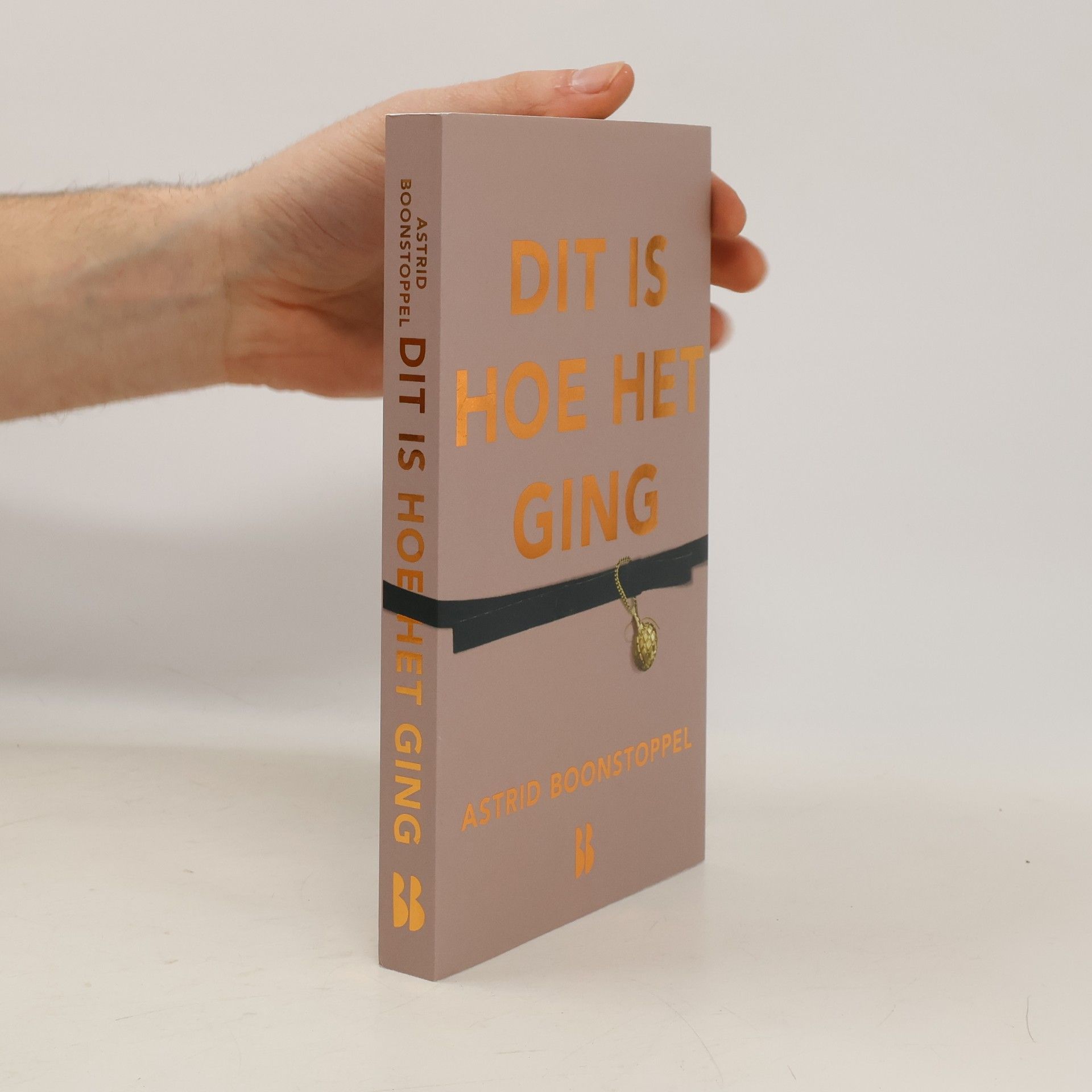 Astrid Boonstoppel Dit is hoe het ging