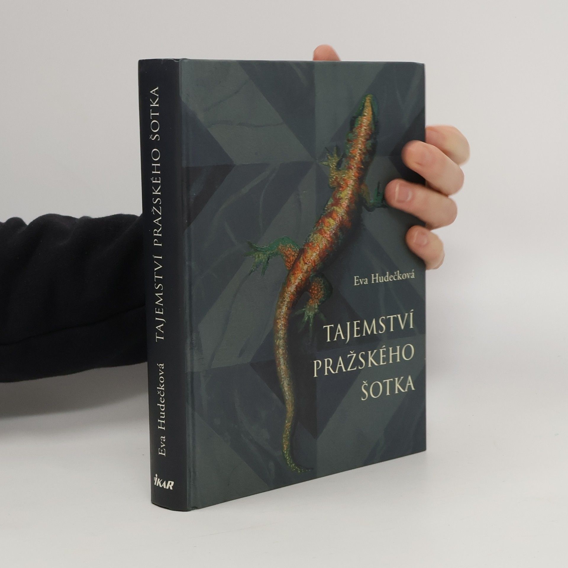 Eva Hudečková Tajemství pražského šotka