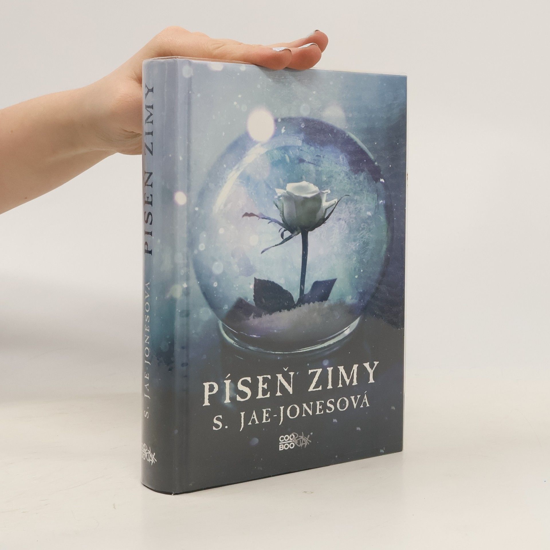 S. Jae-Jones Píseň zimy