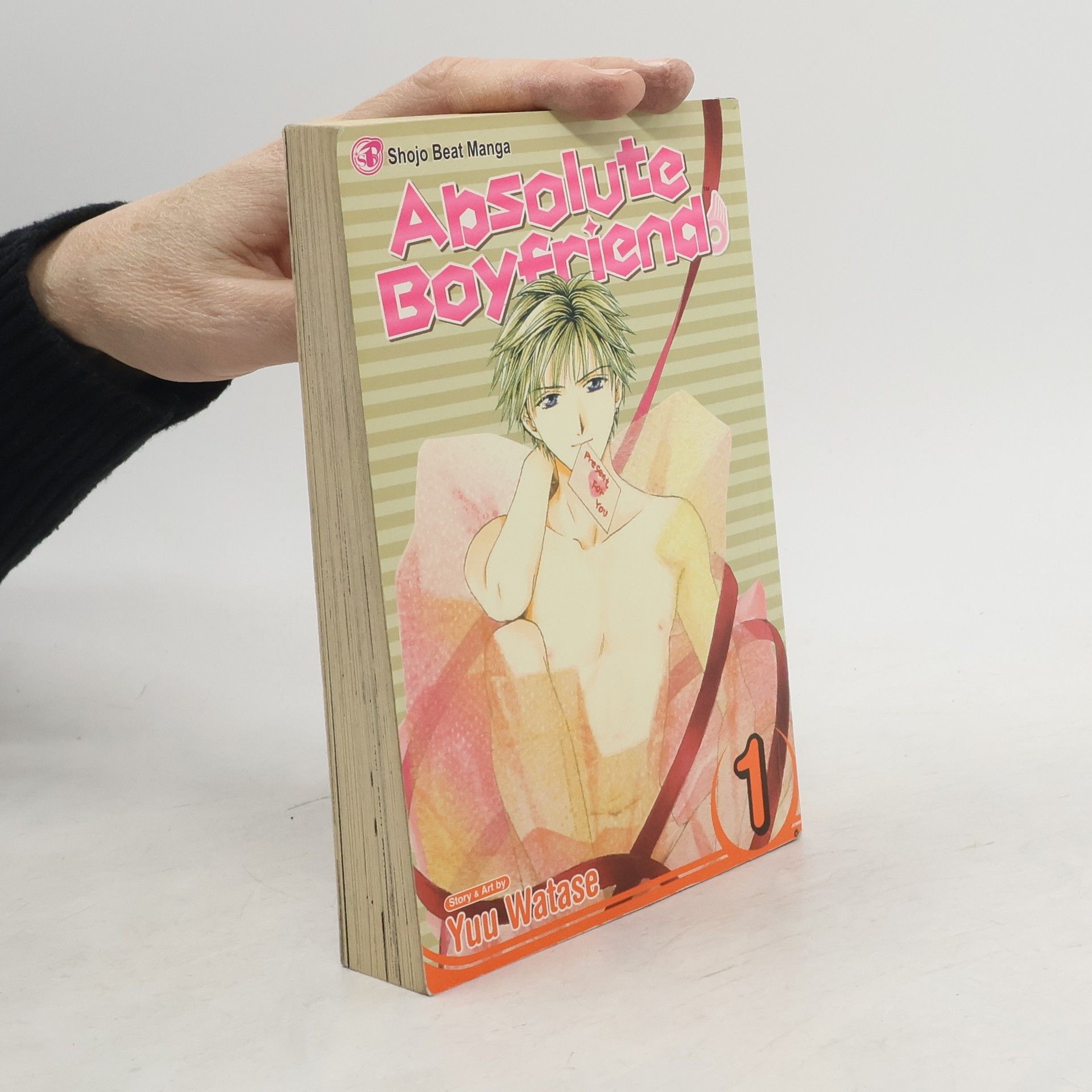 Yuu Watase Absolute Boyfriend, Vol. 1