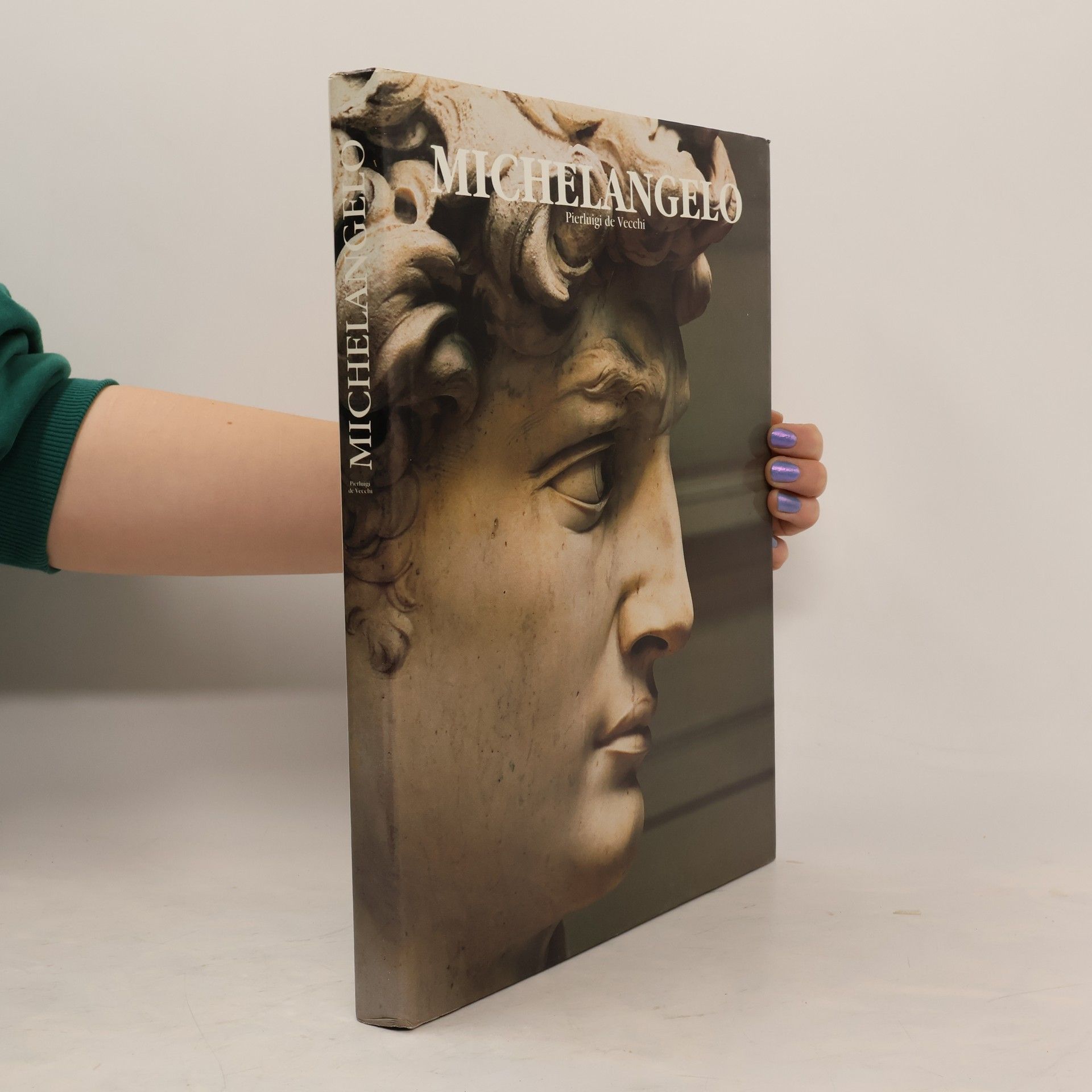 Pier Luigi De Vecchi Profiles in Art S.: Michelangelo